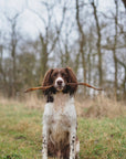 Calf Pizzle - Bodhi & The Birchtree