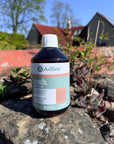 Aniforte Linseed Oil 500ml - Bodhi & The Birchtree