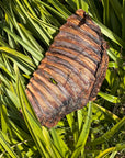 Roe Deer Rib