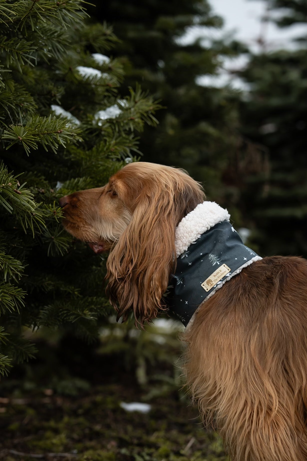 Festive Sherpa Snoods
