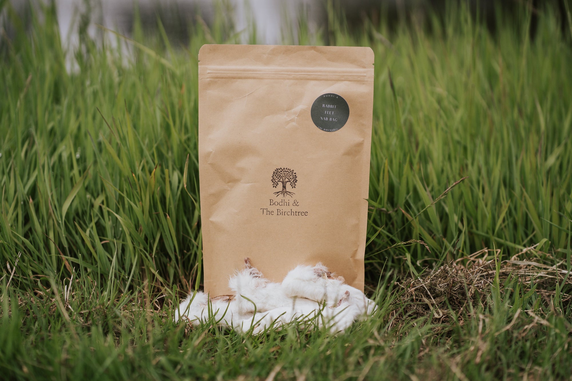 Bodhi & The Birchtree Nab Bags