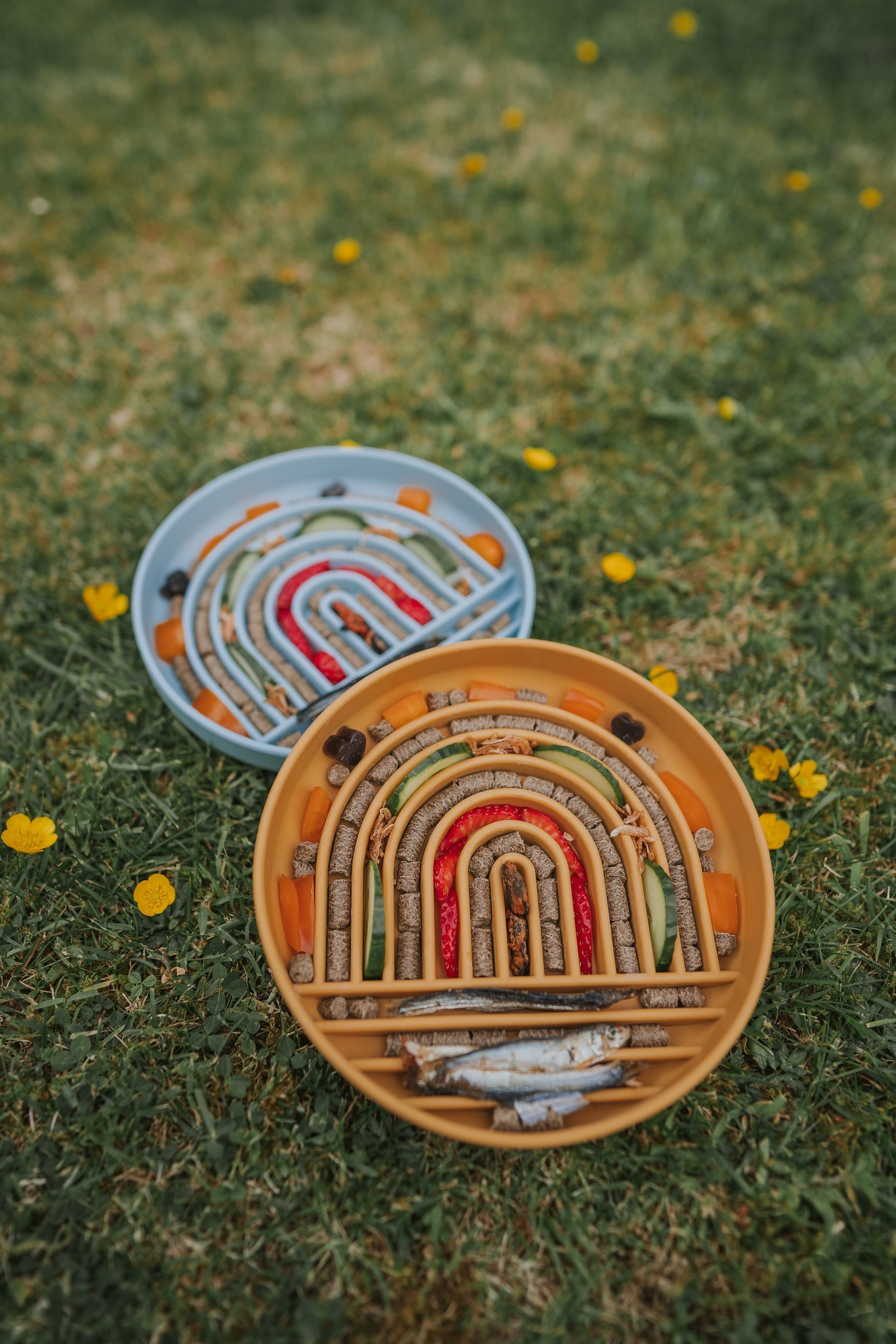 Rainbow Bowls