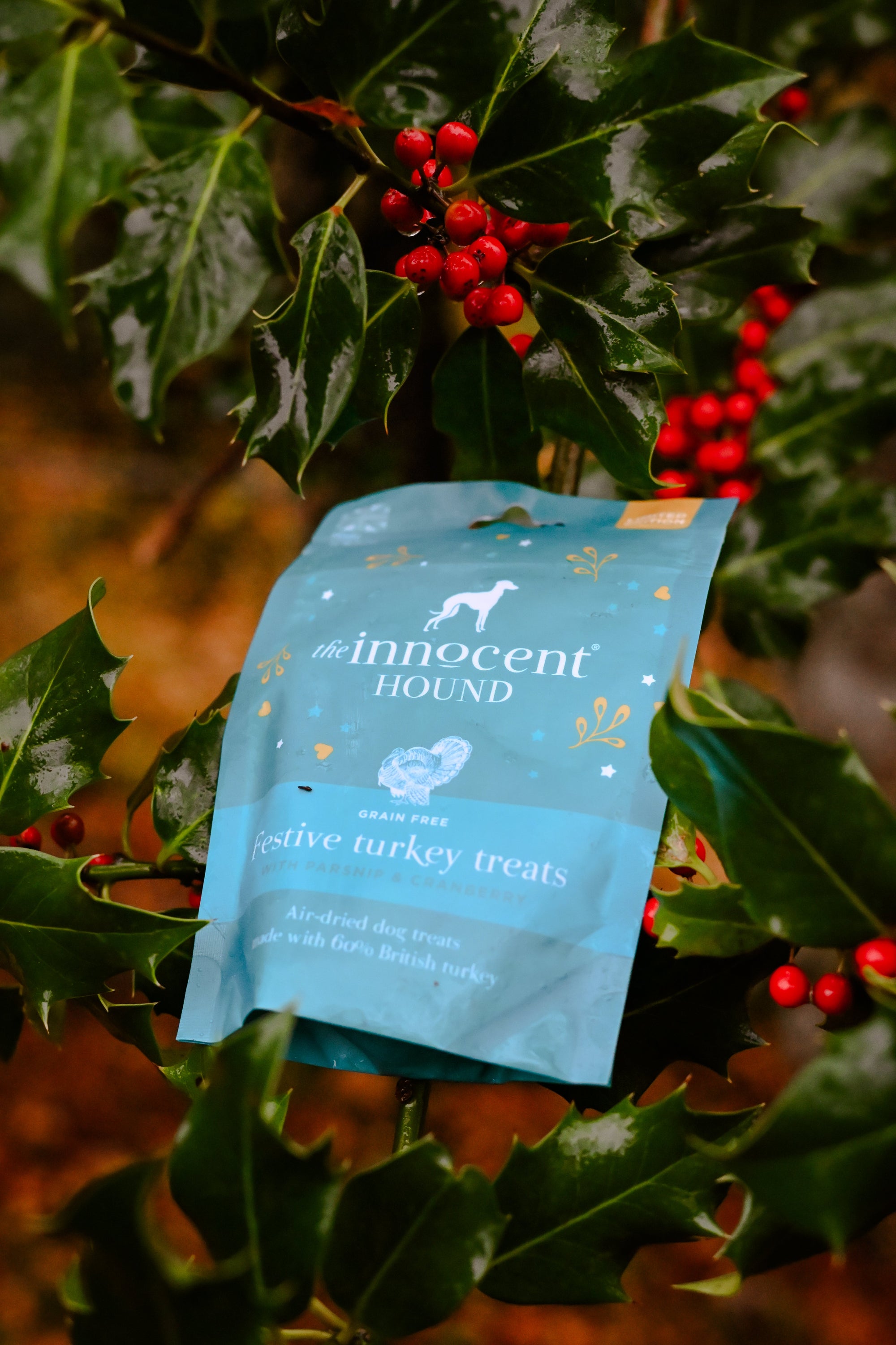 Christmas Treats