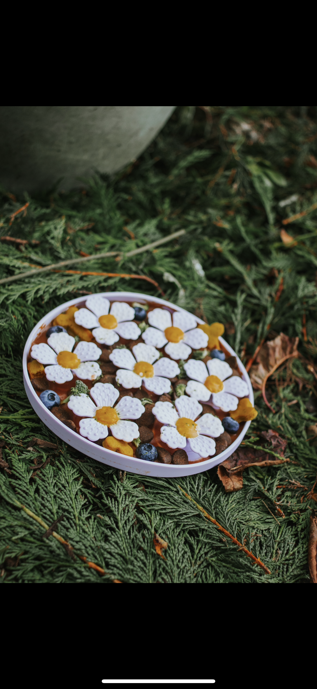 Flower Snuffle Enrichment Mats