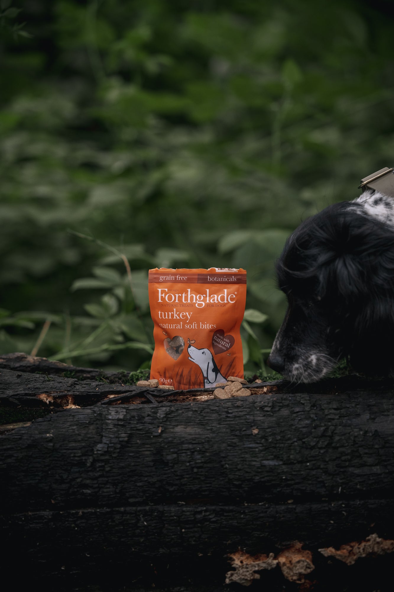 Forthglade Turkey Soft Bites - Bodhi & The Birchtree