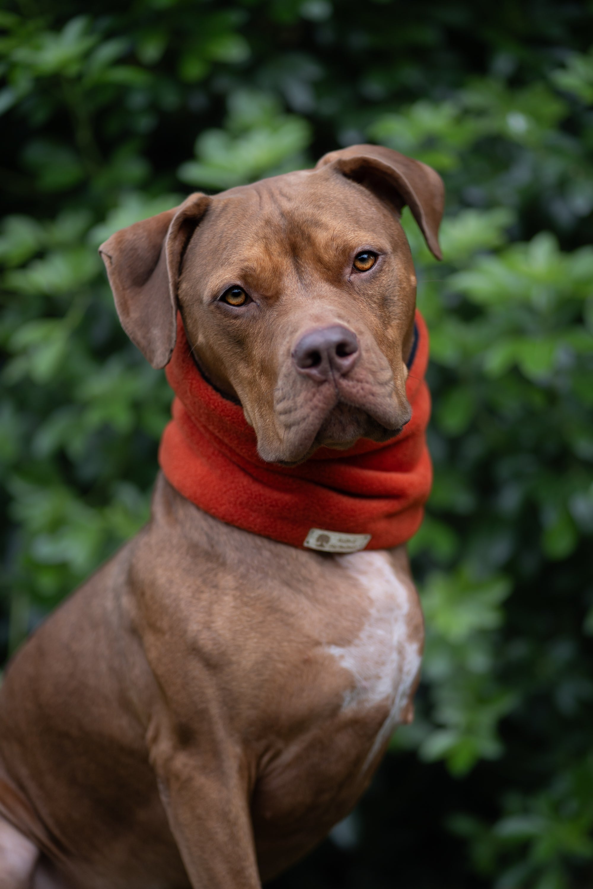 ‘The Moose’ Rust Brick & Black Polar Fleece Snood - Bodhi & The Birchtree