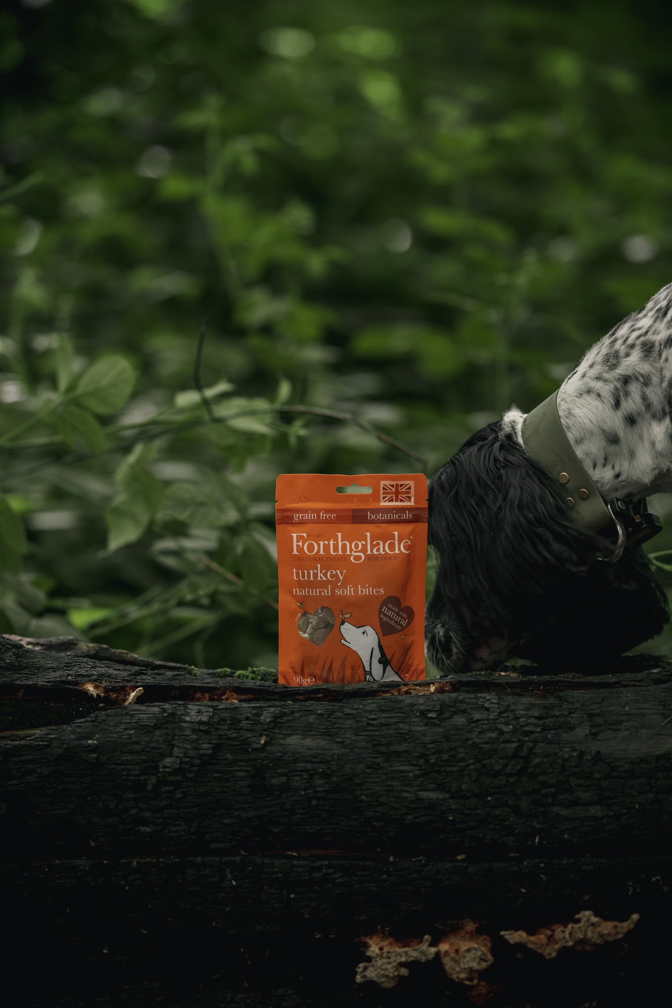 Forthglade Turkey Soft Bites - Bodhi & The Birchtree