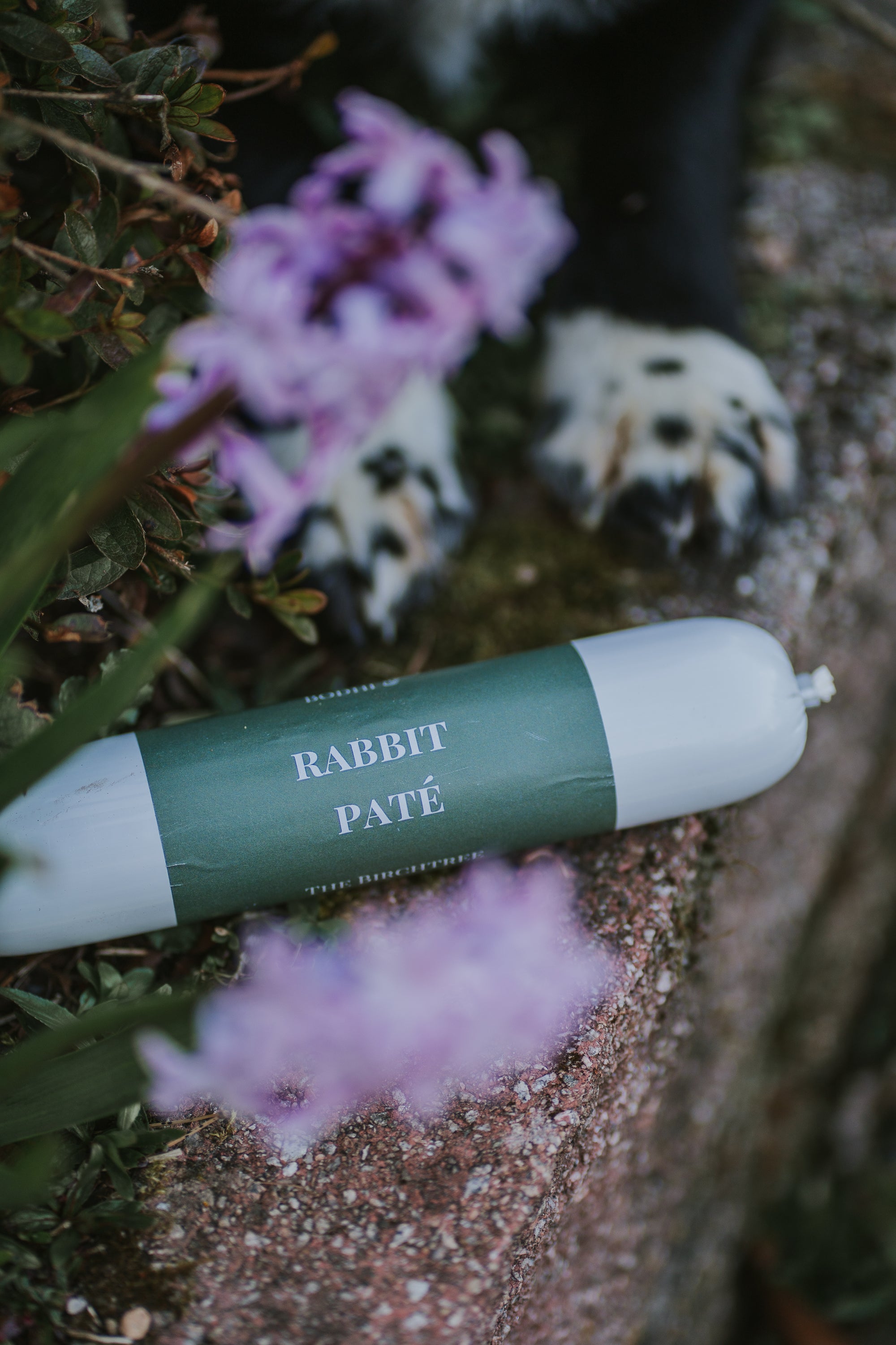 Bodhi & The Birchtree Rabbit Paté 400g - Bodhi & The Birchtree