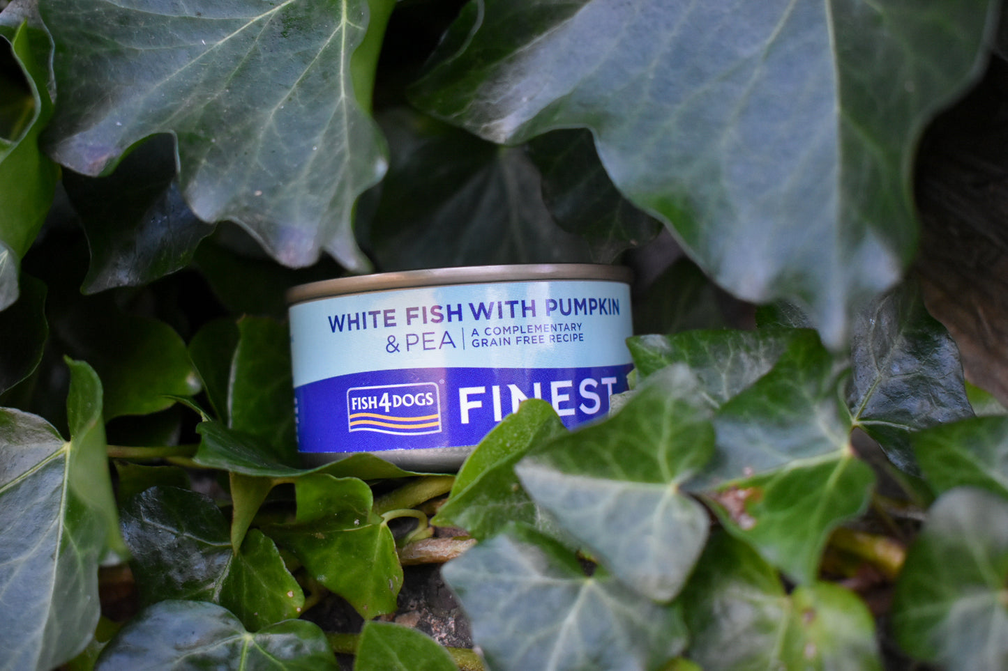 Fish4dogs Finest White Fish With Pumpkin & Pea 85g