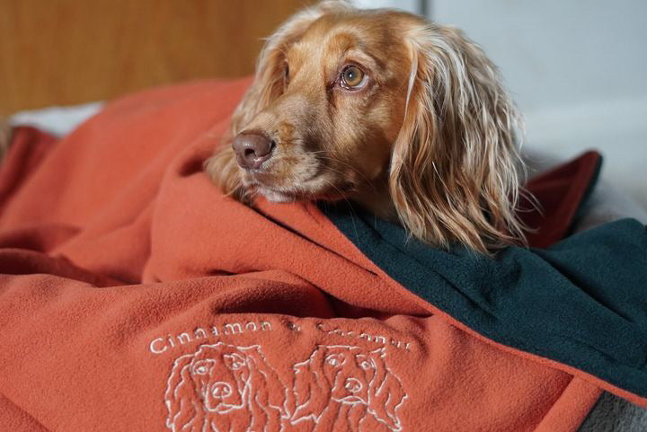 Bodhi & The Birchtree X Maisie & Murphy Collab Personalised Embroidered Polar Fleece Blanket