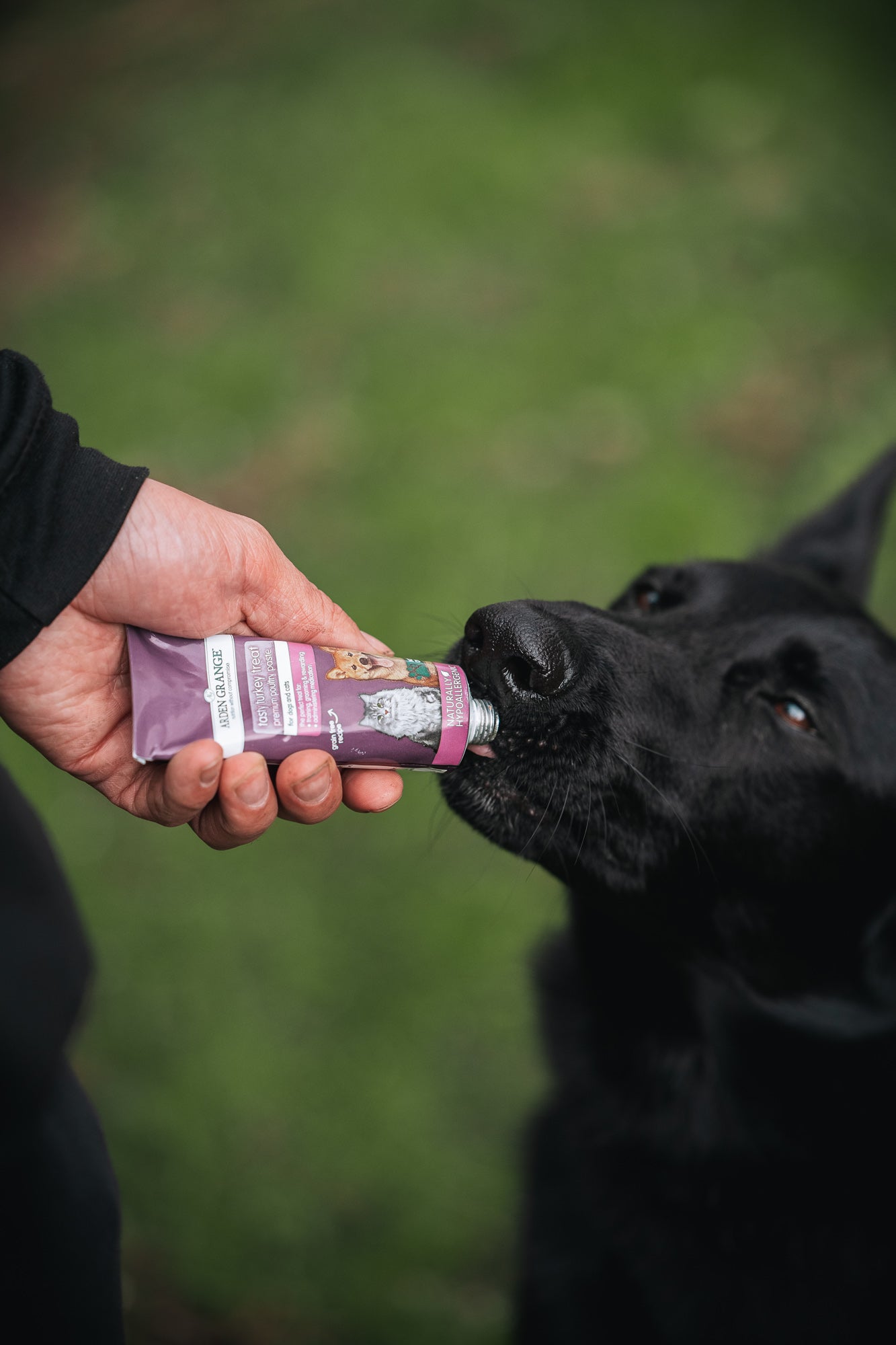 Arden Grange Tasty Turkey Treat - Bodhi &amp; The Birchtree