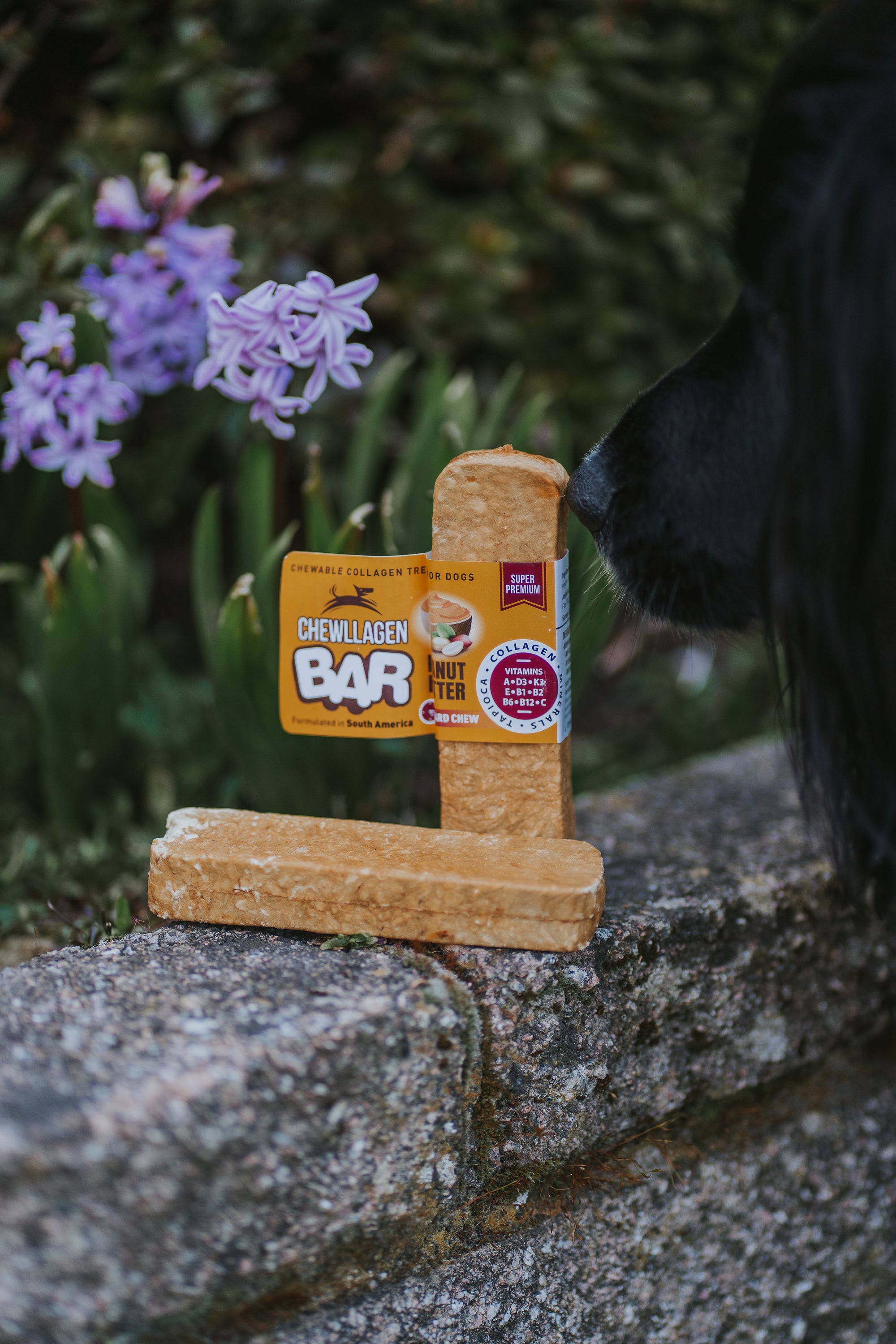 Chewllagen Peanut Butter 5 Inch Bar - Bodhi & The Birchtree