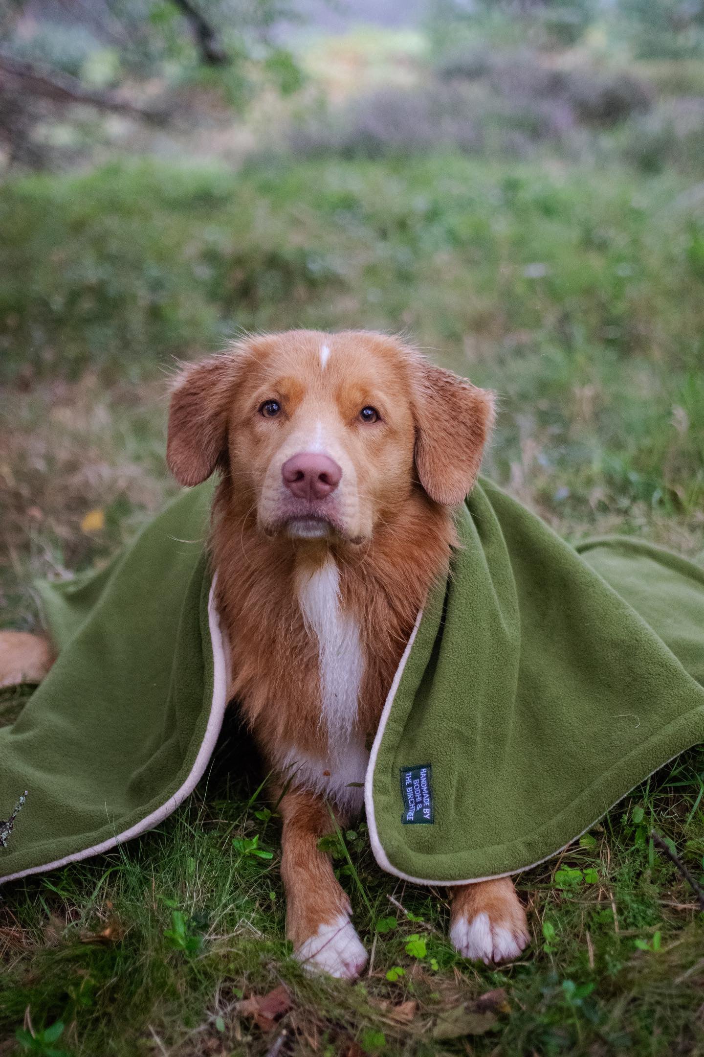 Bodhi & The Birchtree Moss Green Polar Fleece Blanket - Bodhi & The Birchtree