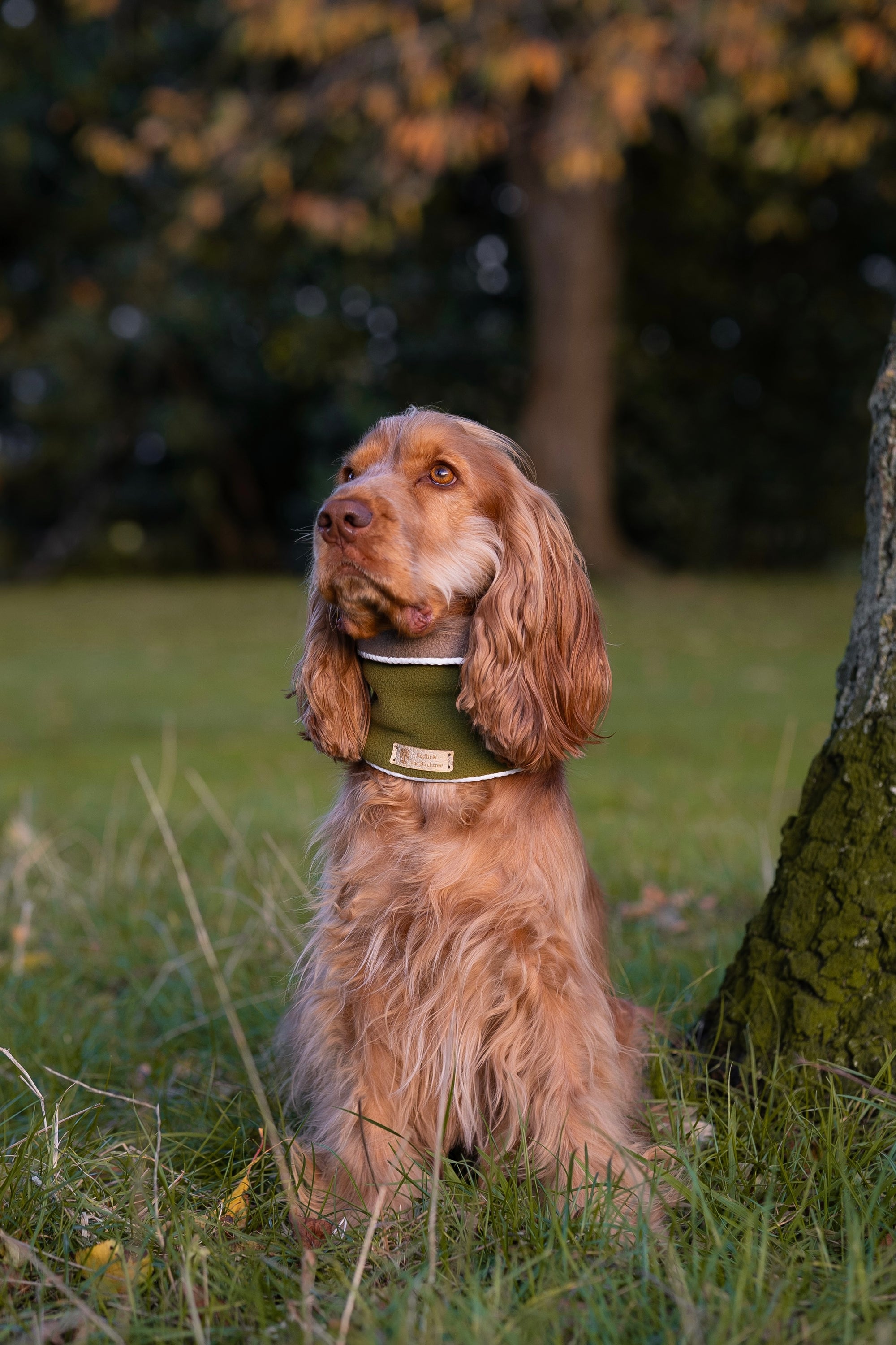 ‘The Harley’ Avocado &amp; New Olive Polar Fleece Reflective Snood Medium No Label - Bodhi &amp; The Birchtree