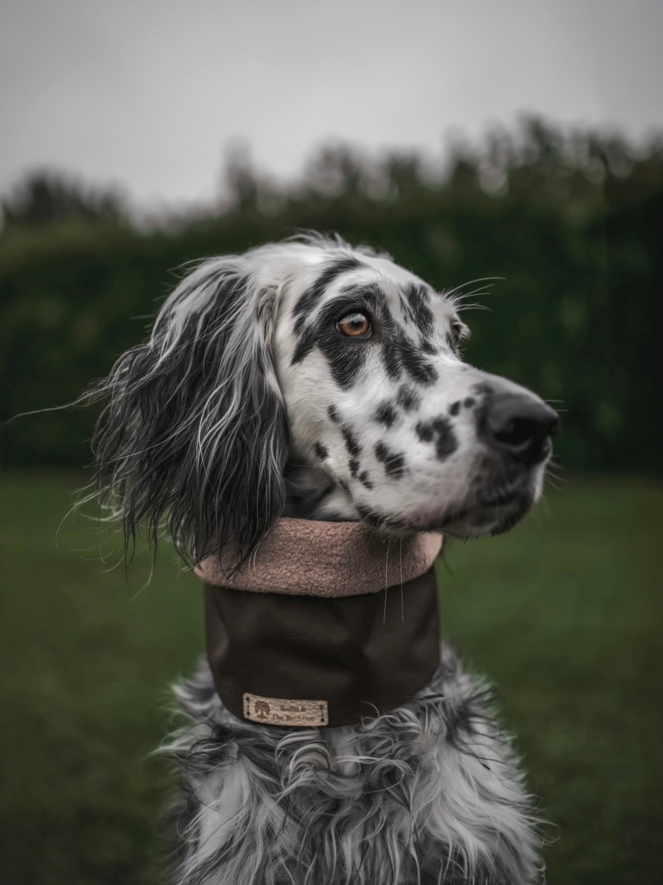 Bodhi &amp; The Birchtree Chocolate &amp; Mushroom Waterproof &amp; Polar Fleece Snood - Bodhi &amp; The Birchtree