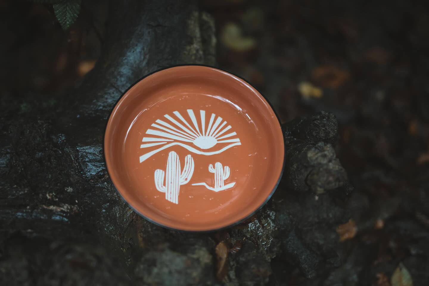 Desert Adventure Ceramic Bowl - Bodhi & The Birchtree