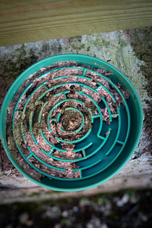 Maze Enrichment Bowl In Emerald Green