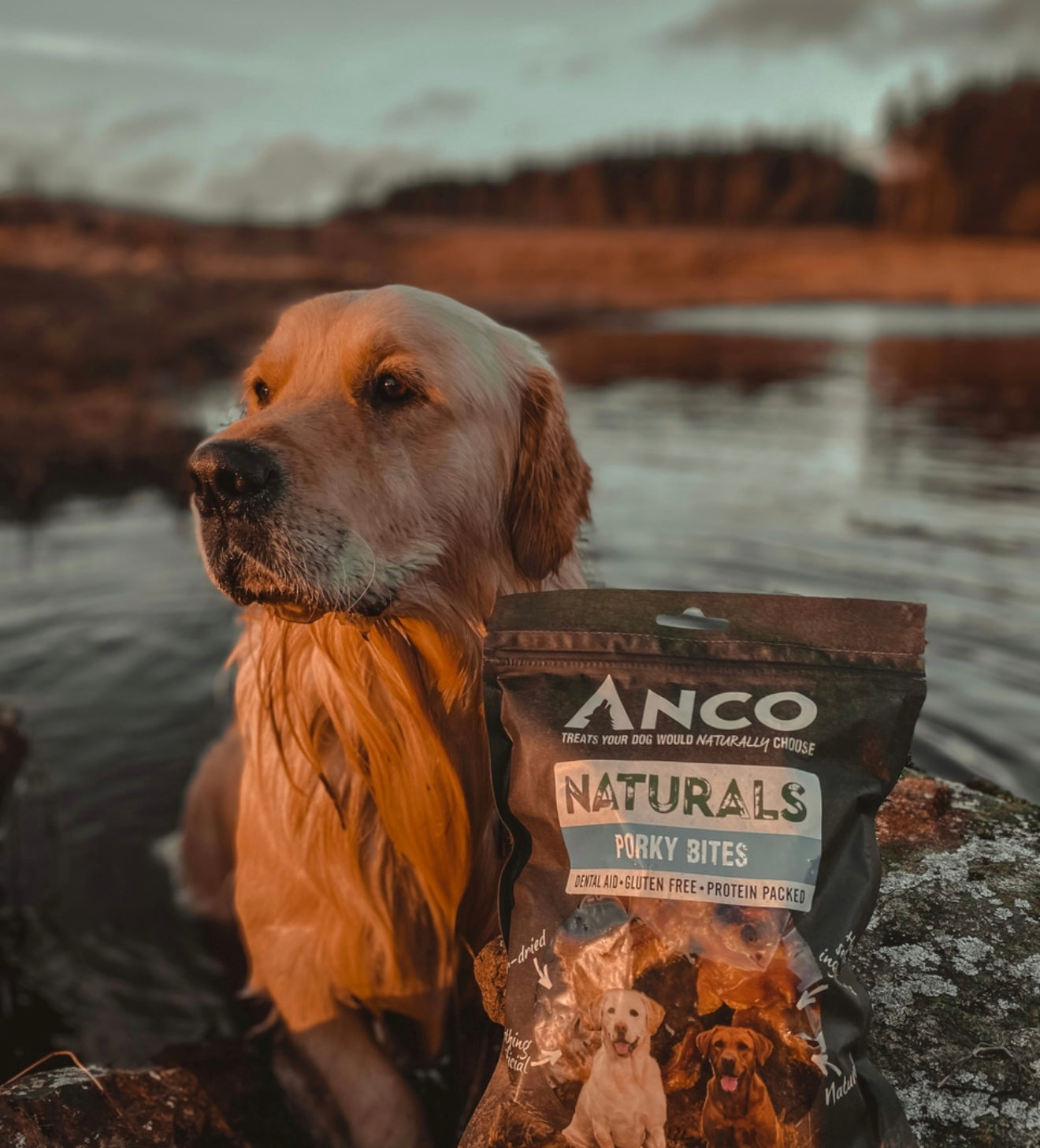 Anco Porky Bites Multipack 250g - Bodhi &amp; The Birchtree