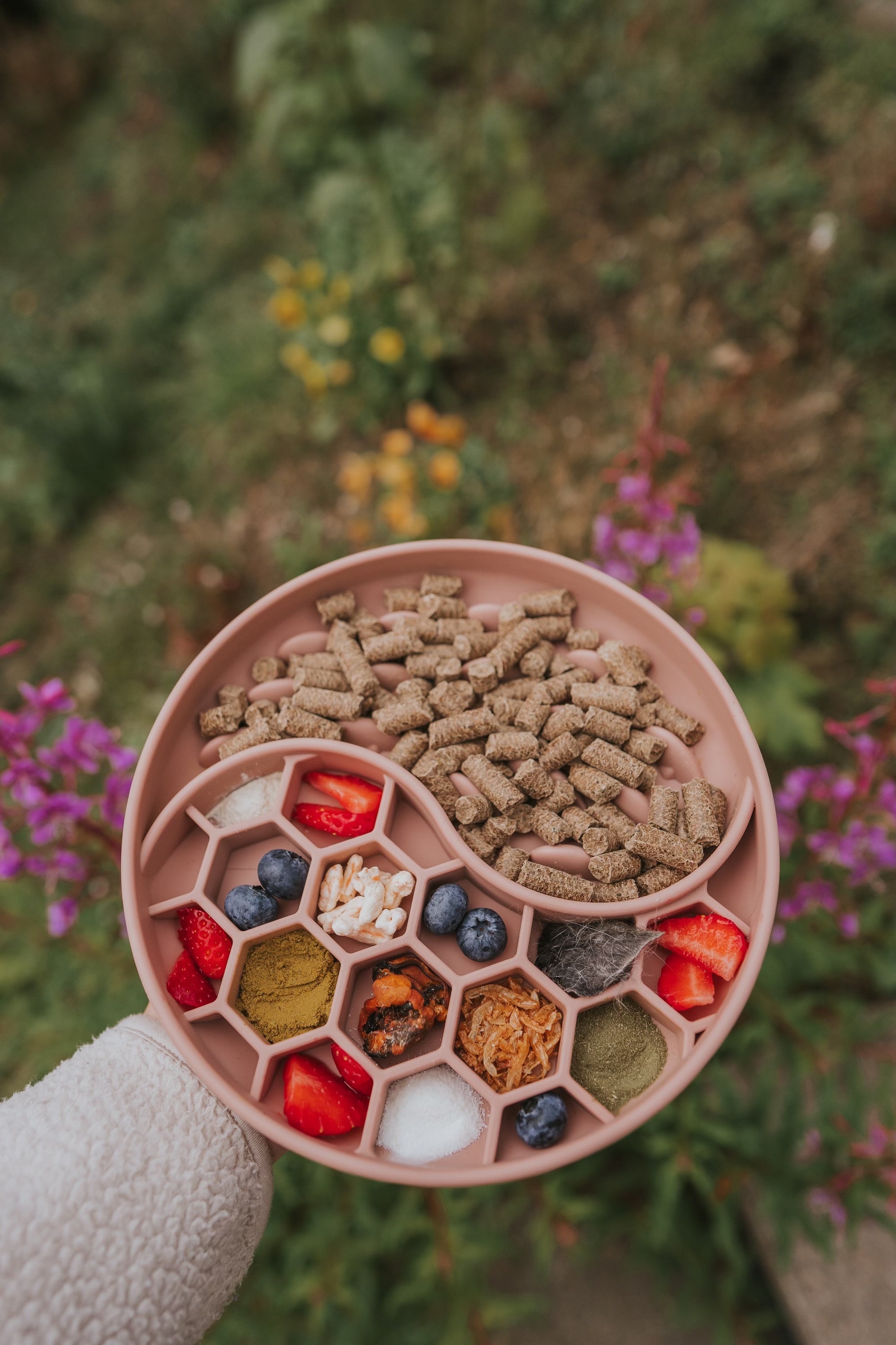 Bodhi & The Birchtree Honeycomb Slow Feeder Bowl In Dusky Pink - Bodhi & The Birchtree