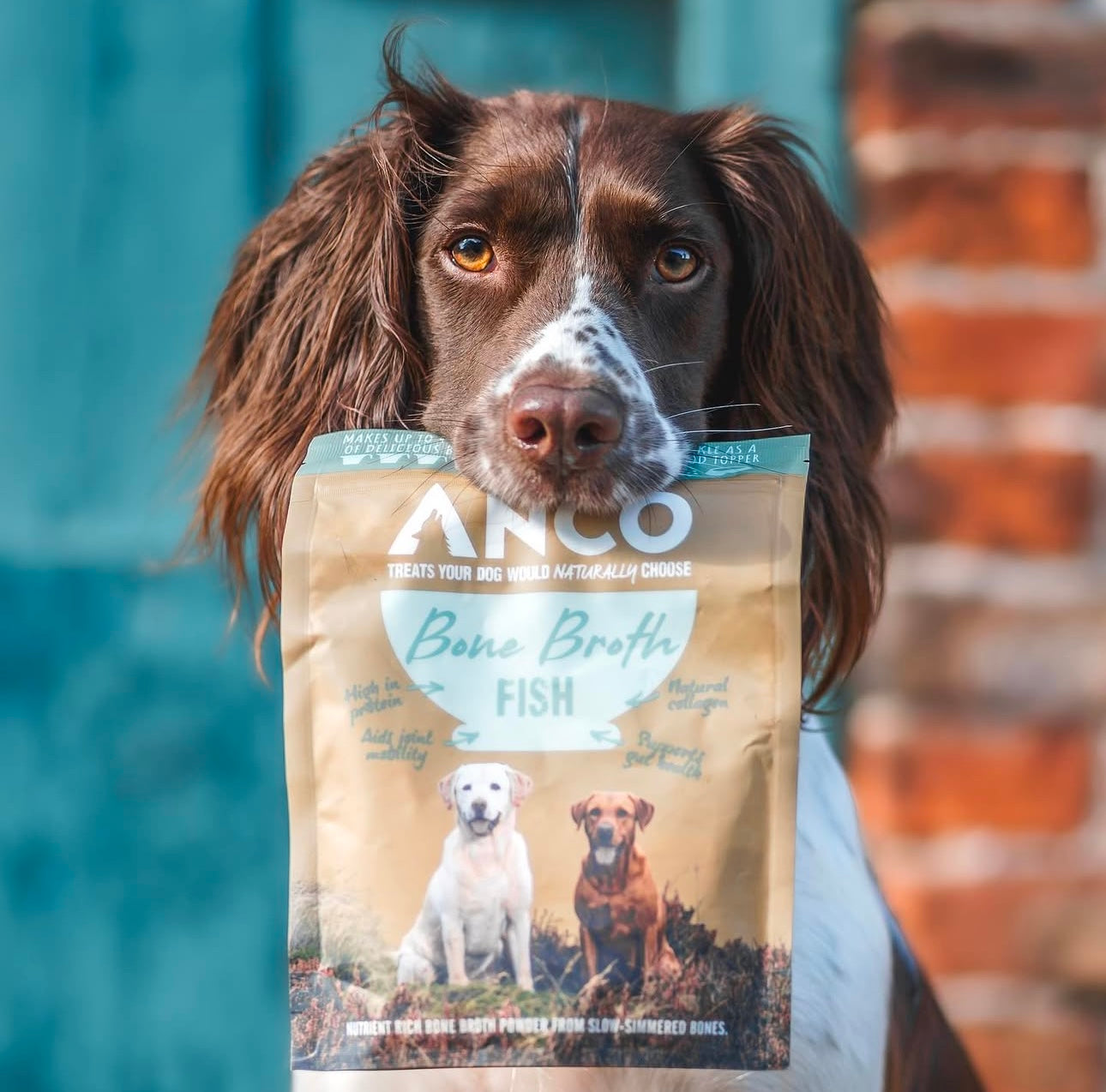 Anco Fish Bone Broth 120g - Bodhi &amp; The Birchtree