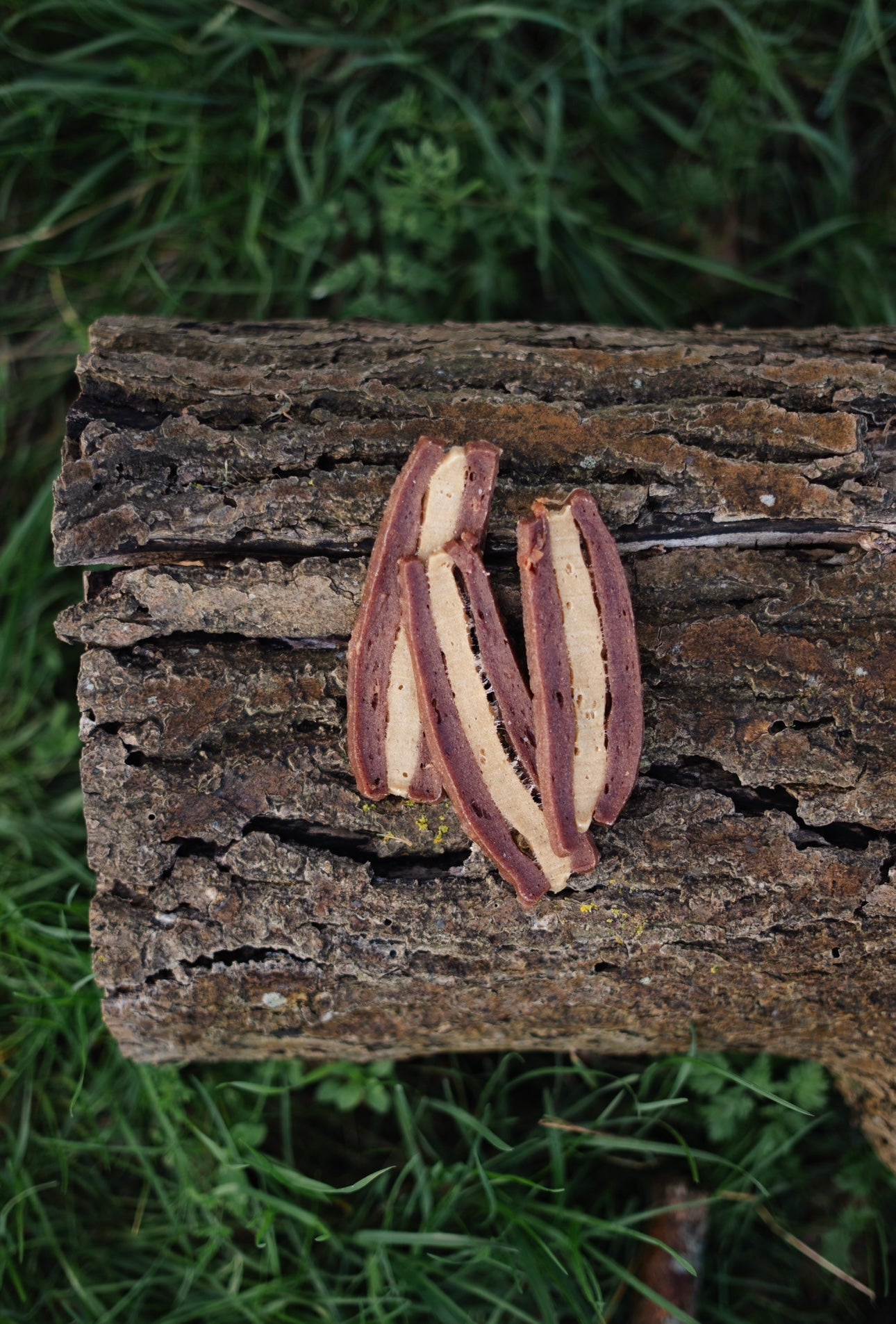 Beef & Duck Fillets - Bodhi & The Birchtree