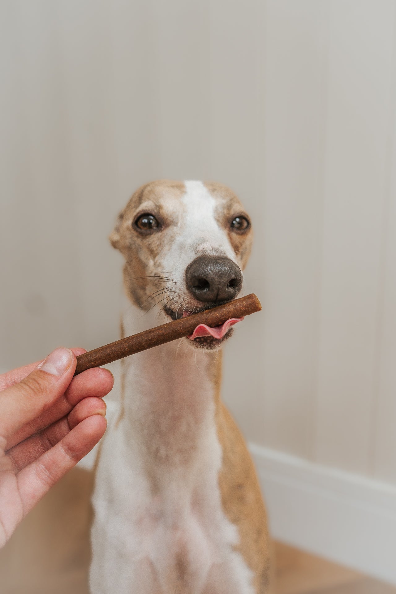 Bodhi & The Birchtree Kangaroo Jerky - Bodhi & The Birchtree