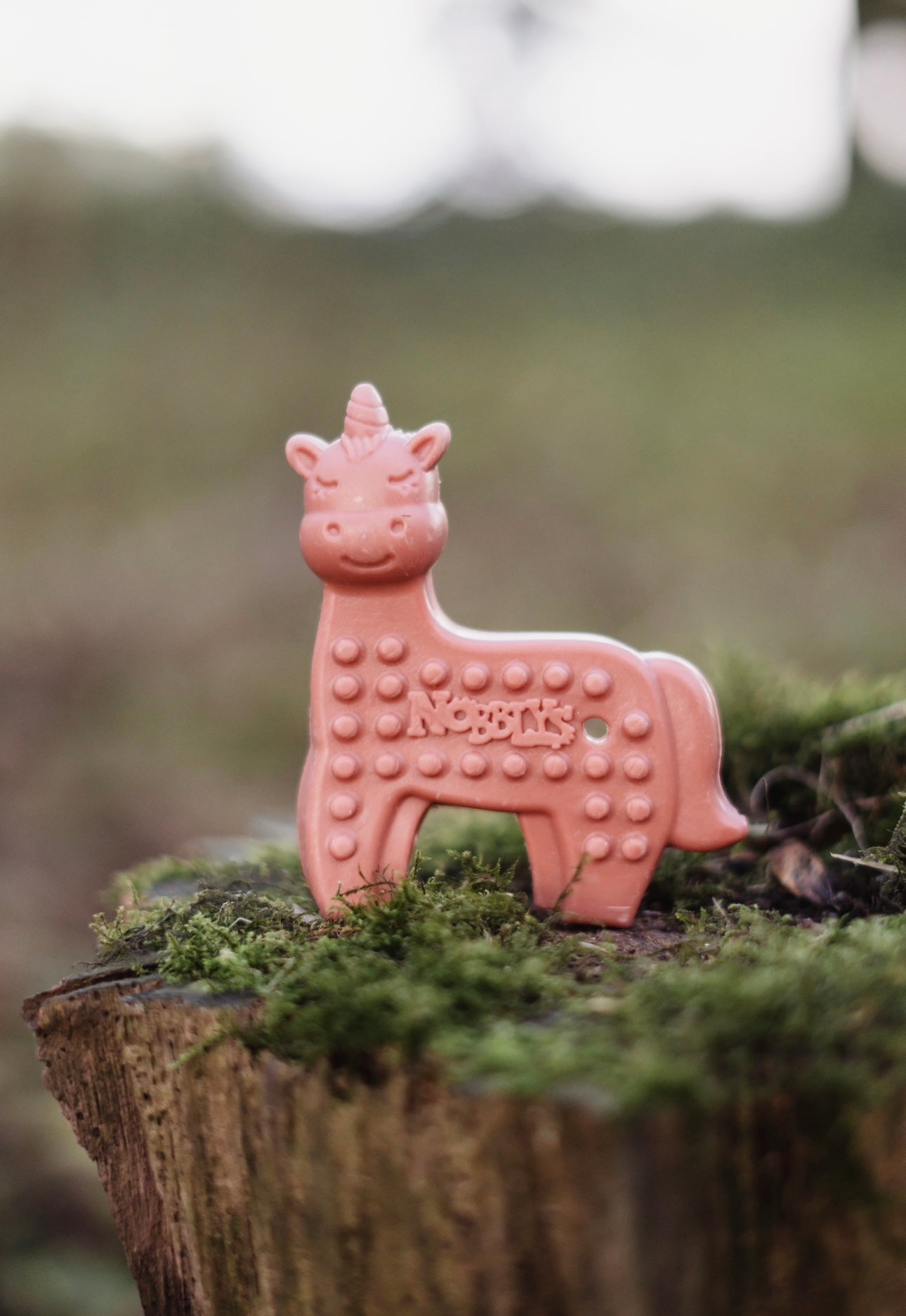 Unicorn Strawberry Veg Chew - Bodhi & The Birchtree