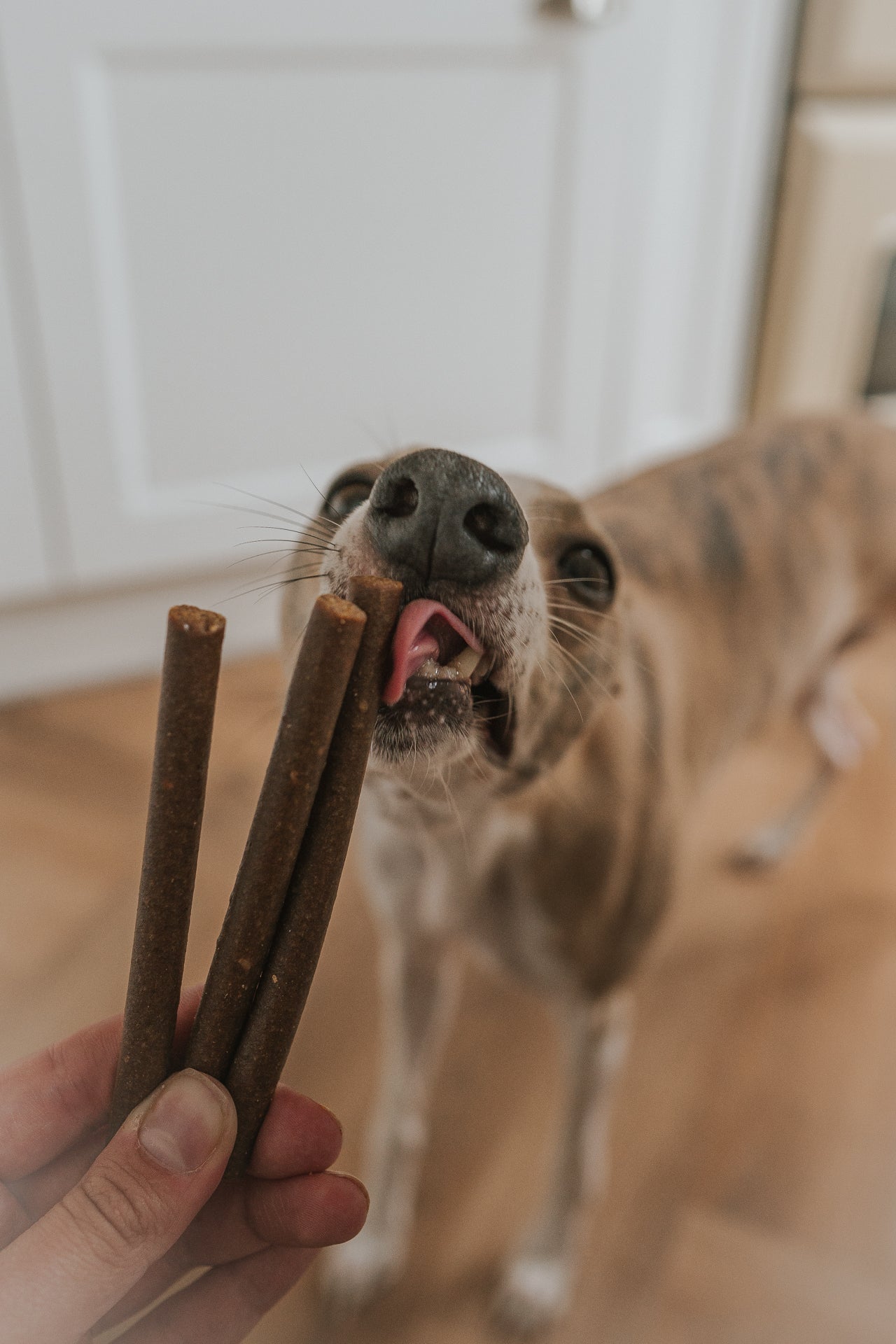 Bodhi & The Birchtree Kangaroo Jerky - Bodhi & The Birchtree