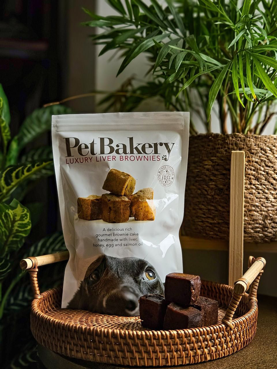 The Pet Bakery Luxury Liver Brownies - Bodhi & The Birchtree