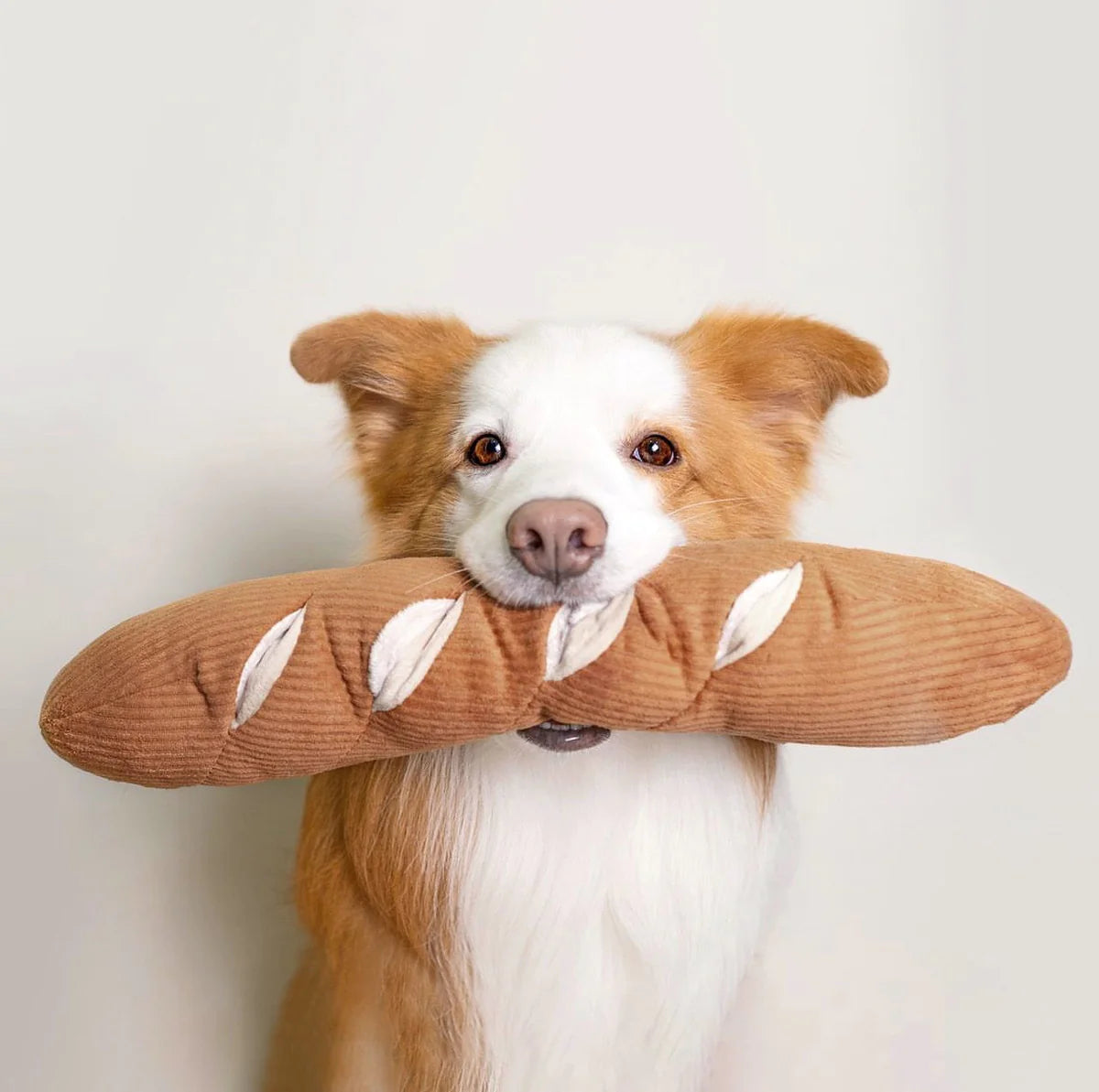 Baguette Enrichment Toy With Pockets & Squeaker