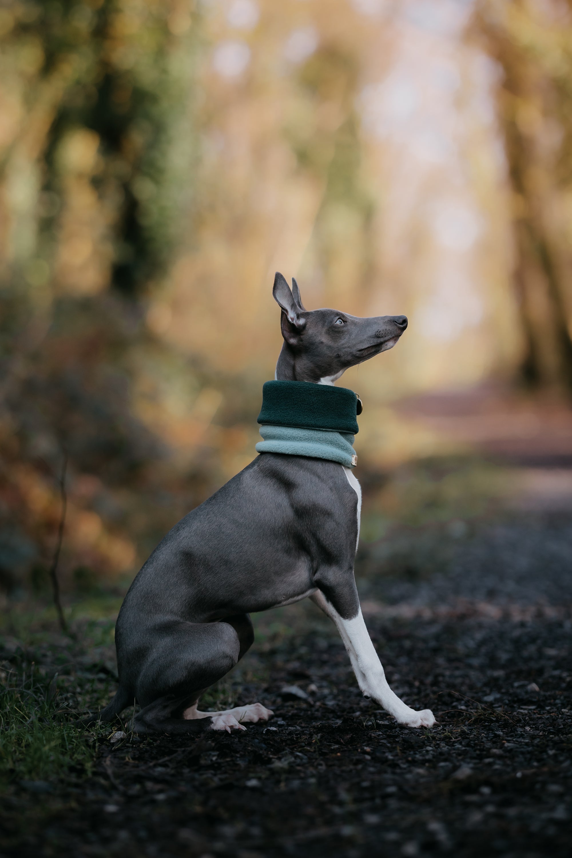 Limited Edition ‘The Nimble’ Sage &amp; Bottle Green Polar Fleece Snood - Bodhi &amp; The Birchtree