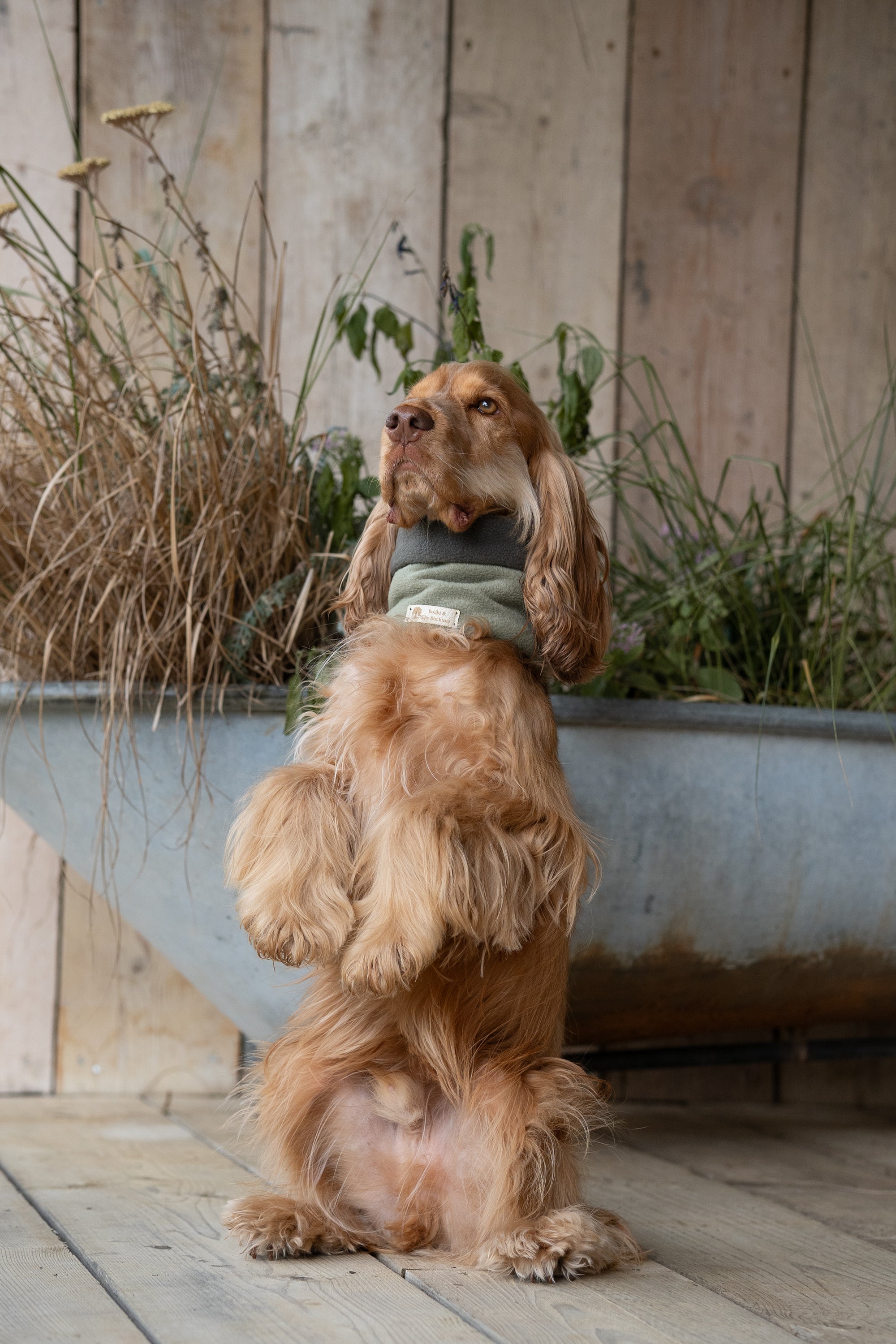 ‘The Harley’ Avocado &amp; New Olive Polar Fleece Snood - Bodhi &amp; The Birchtree