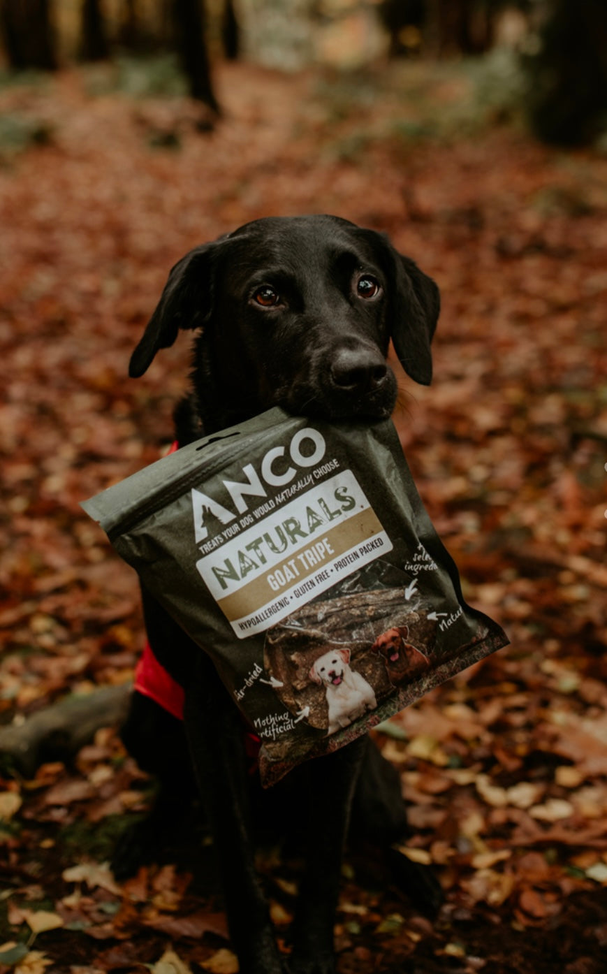 Anco Goat Tripe Multipack - Bodhi & The Birchtree