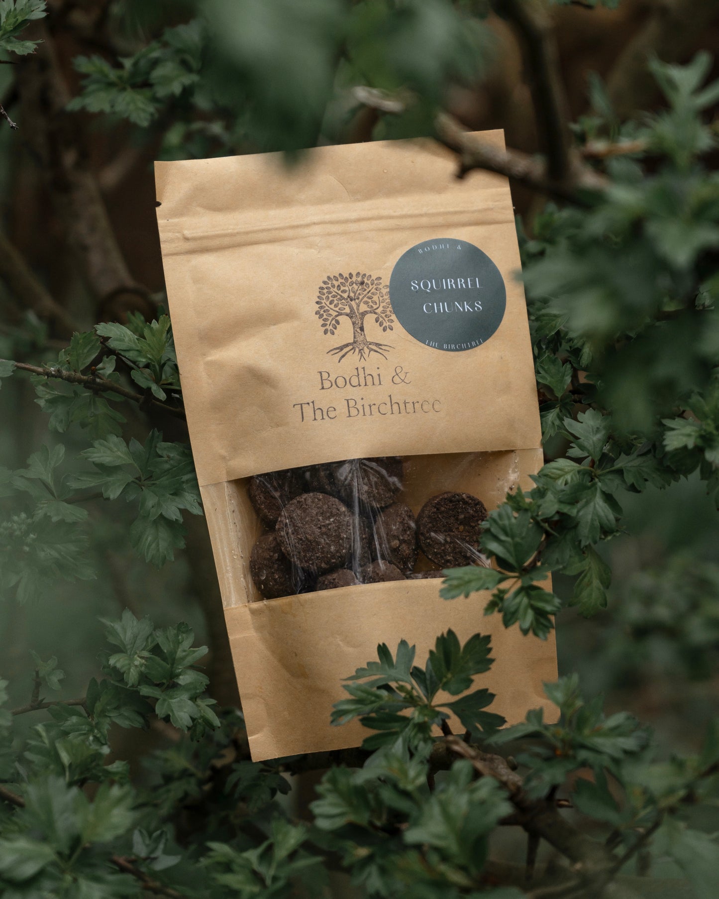 Bodhi & The Birchtree Squirrel Chunks 80g