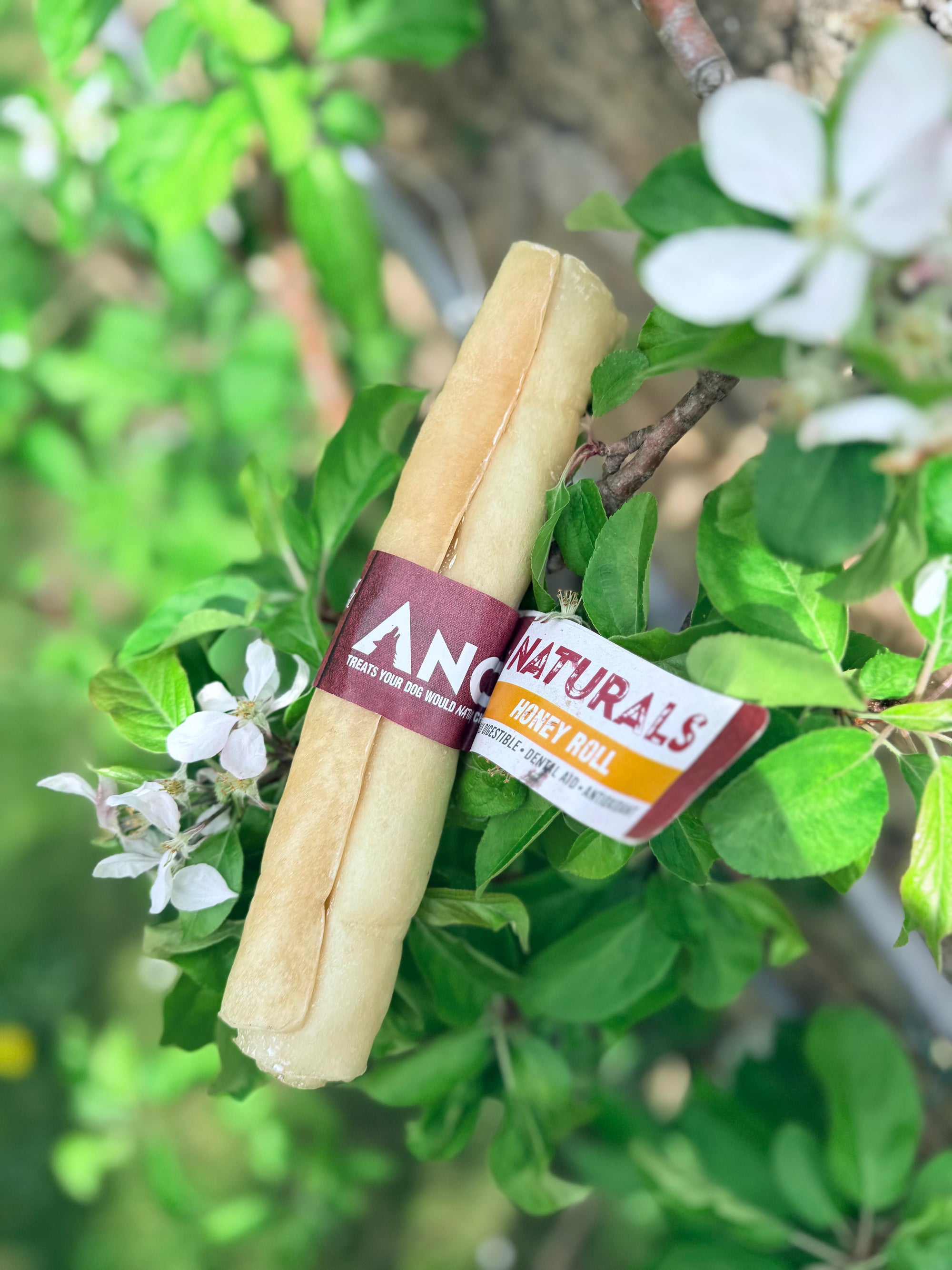 Honey Roll - Bodhi & The Birchtree