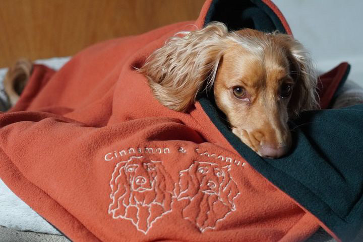 Bodhi & The Birchtree X Maisie & Murphy Collab Giant Human & Hound Sharing Embroidered Polar Fleece Blanket