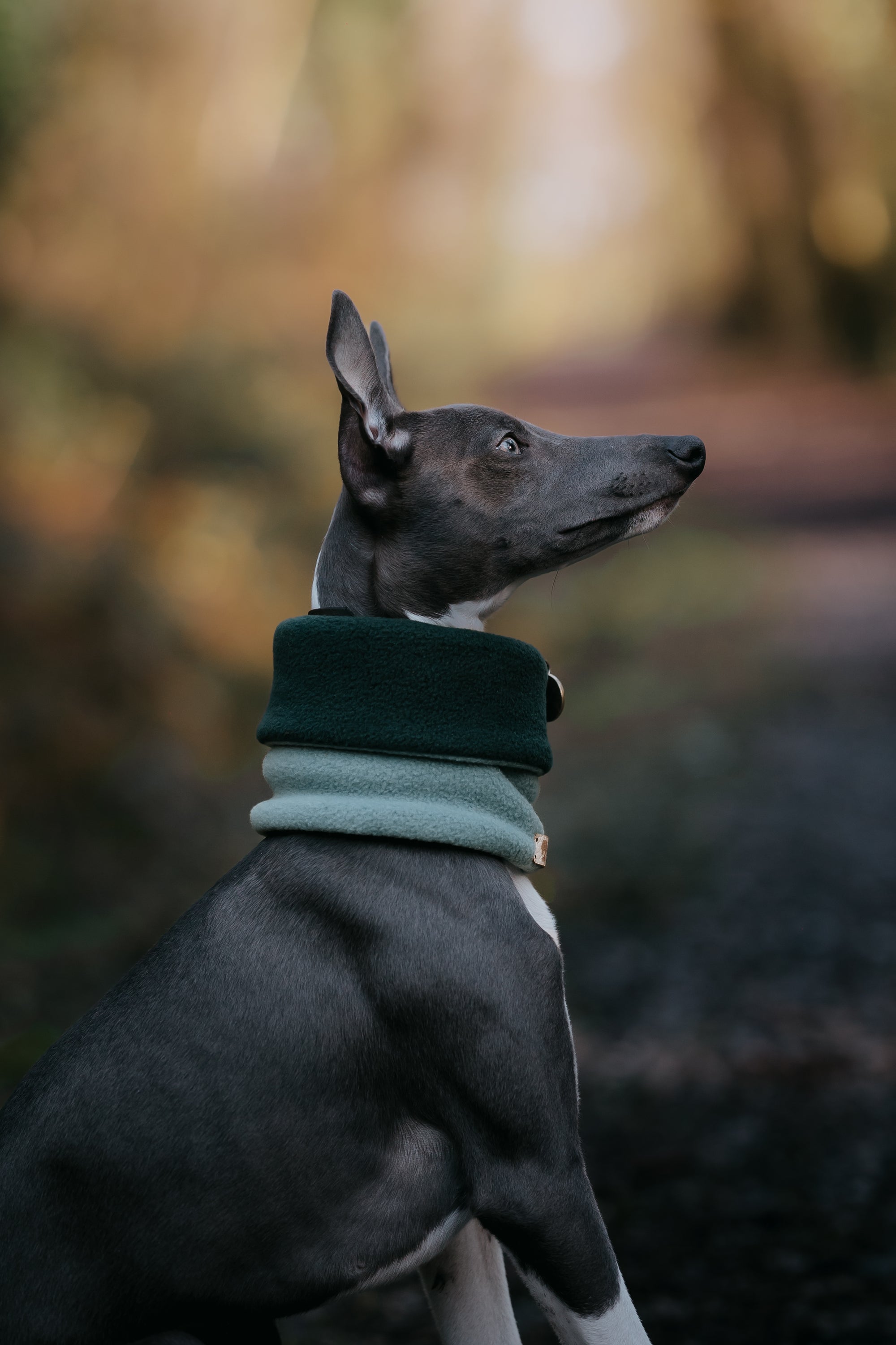 Limited Edition ‘The Nimble’ Sage &amp; Bottle Green Polar Fleece Snood - Bodhi &amp; The Birchtree