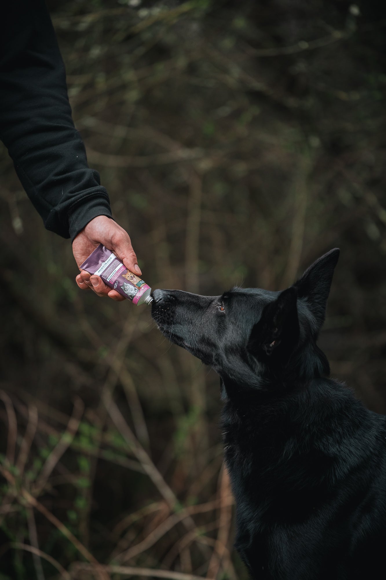 Arden Grange Tasty Turkey Treat - Bodhi &amp; The Birchtree
