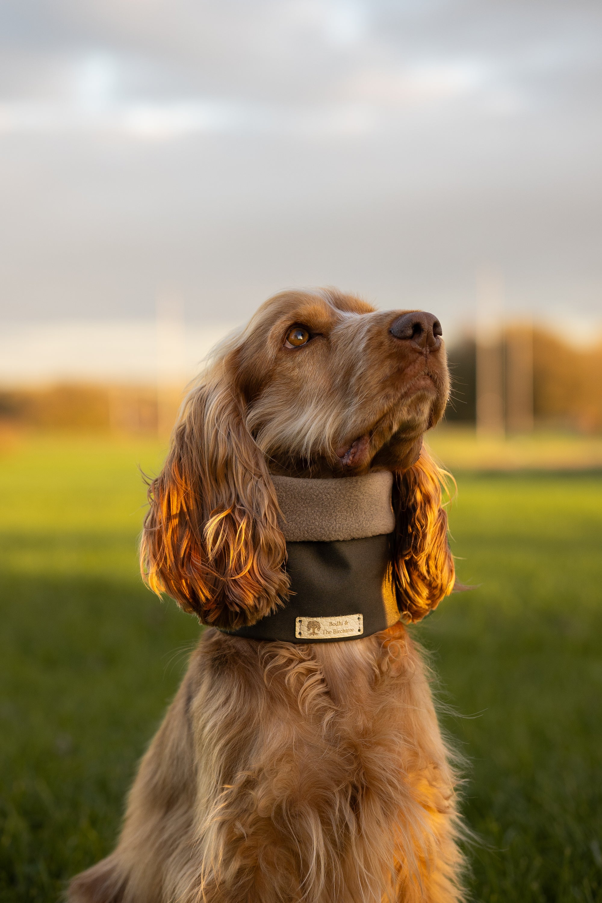 Bodhi &amp; The Birchtree Khaki &amp; Dark Camel Waterproof &amp; Polar Fleece Snood - Bodhi &amp; The Birchtree