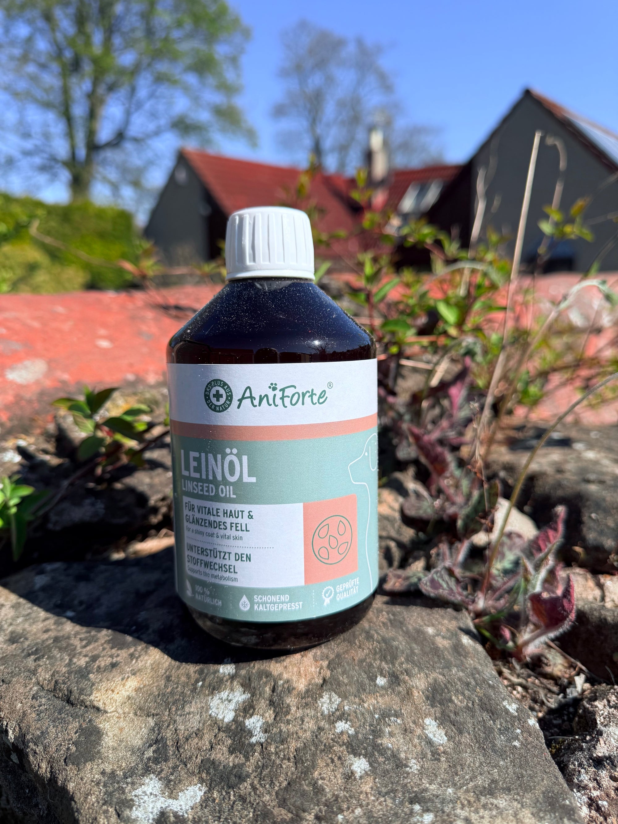 Aniforte Linseed Oil 500ml - Bodhi &amp; The Birchtree