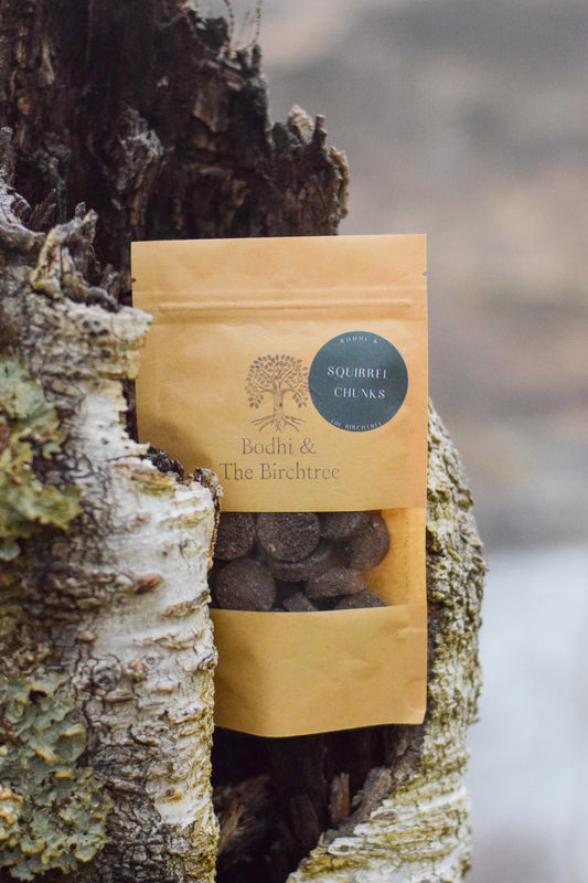 Bodhi & The Birchtree Squirrel Chunks 80g