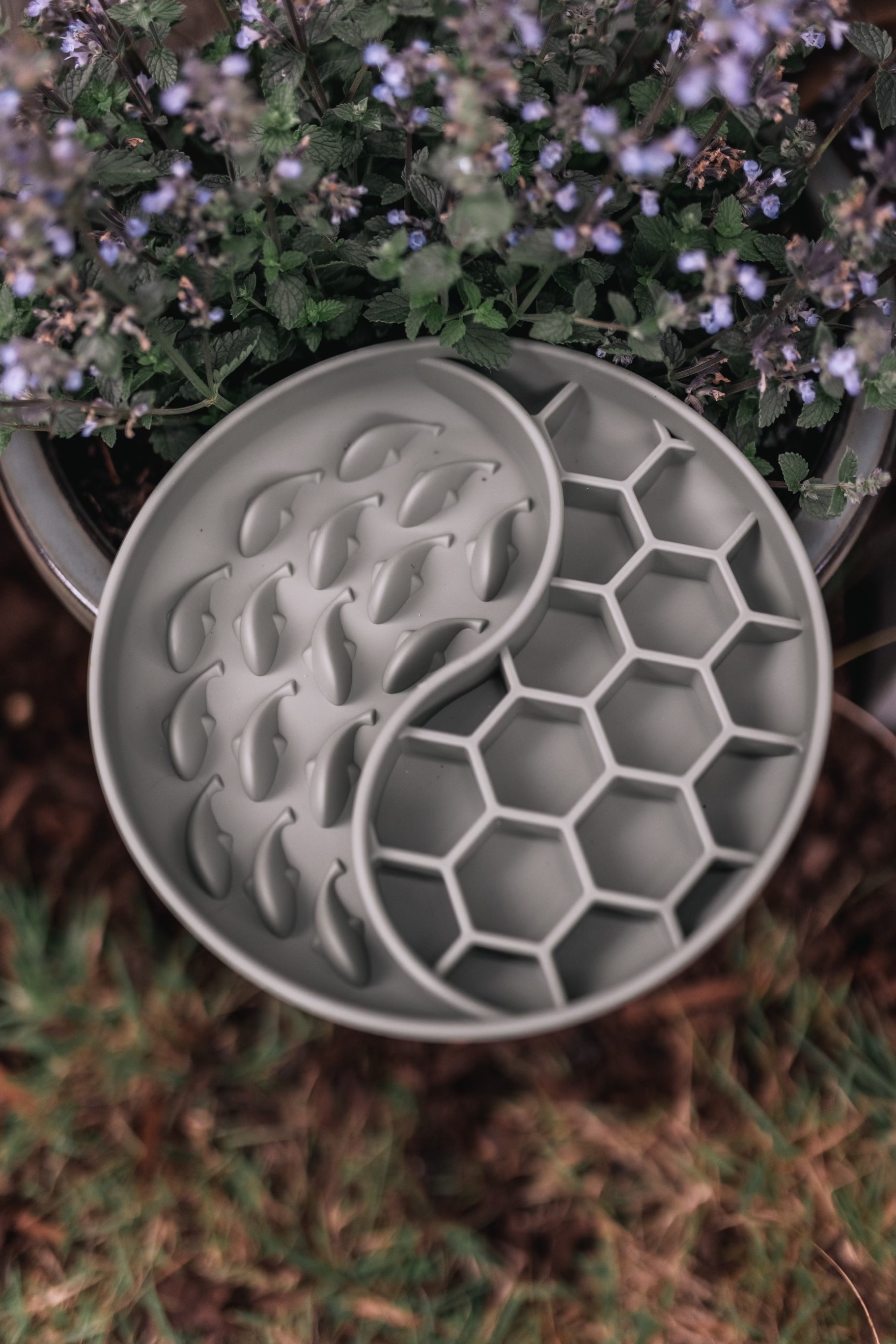 Bodhi & The Birchtree Honeycomb Slow Feeder Bowl In Olive - Bodhi & The Birchtree