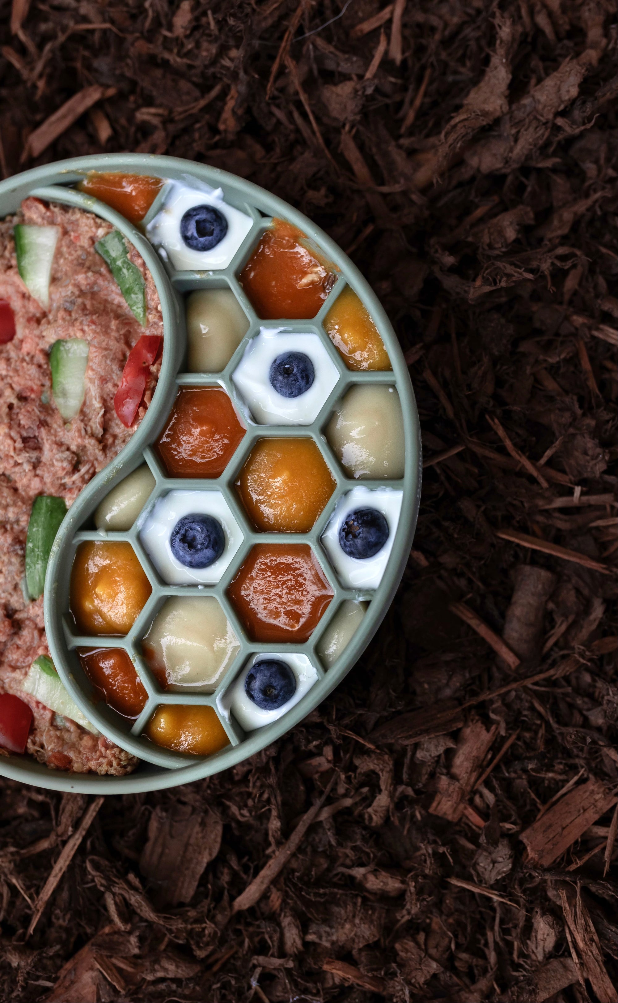 Bodhi & The Birchtree Honeycomb Slow Feeder Bowl In Olive - Bodhi & The Birchtree