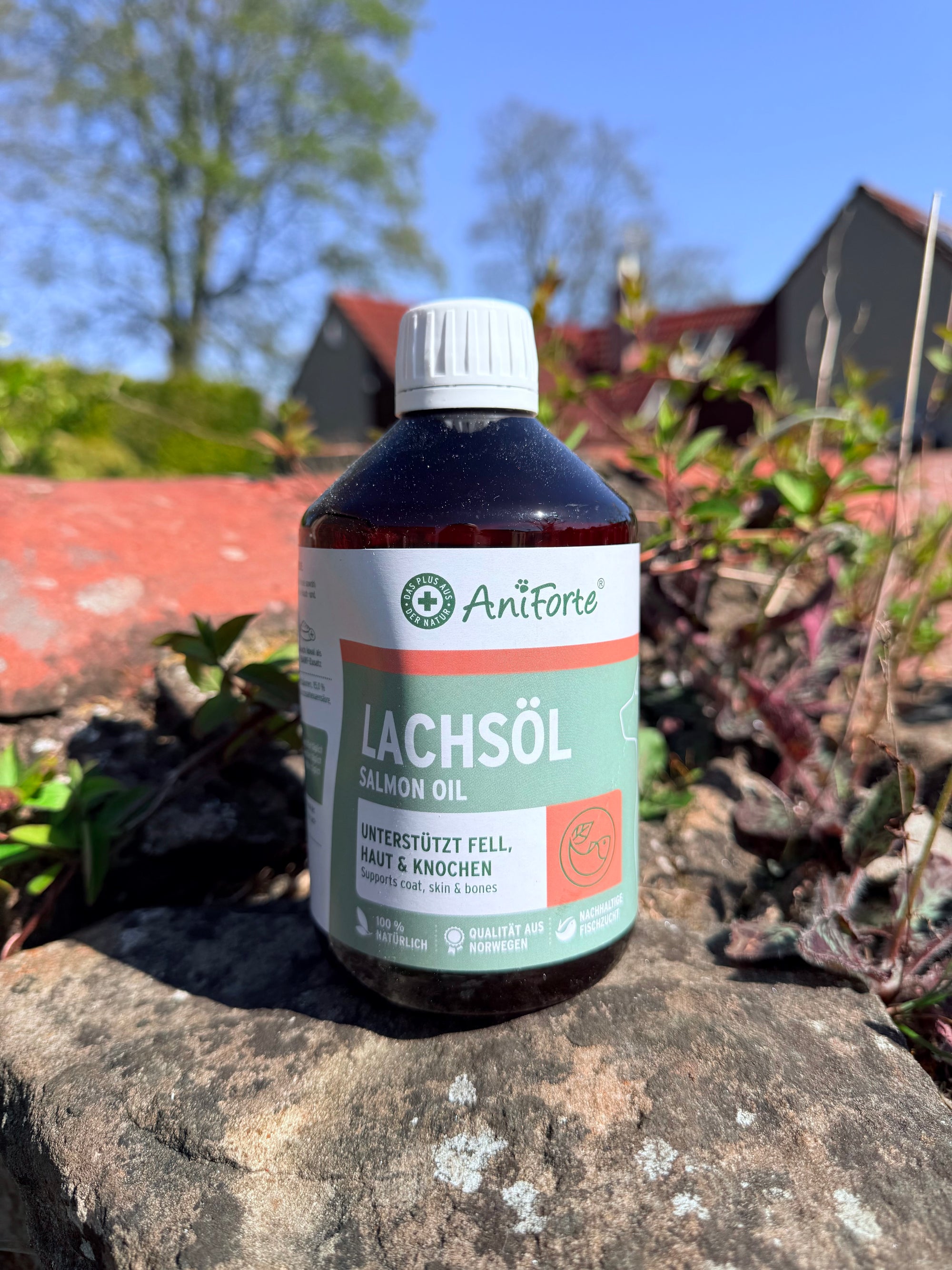 Aniforte Salmon Oil 500ml - Bodhi & The Birchtree