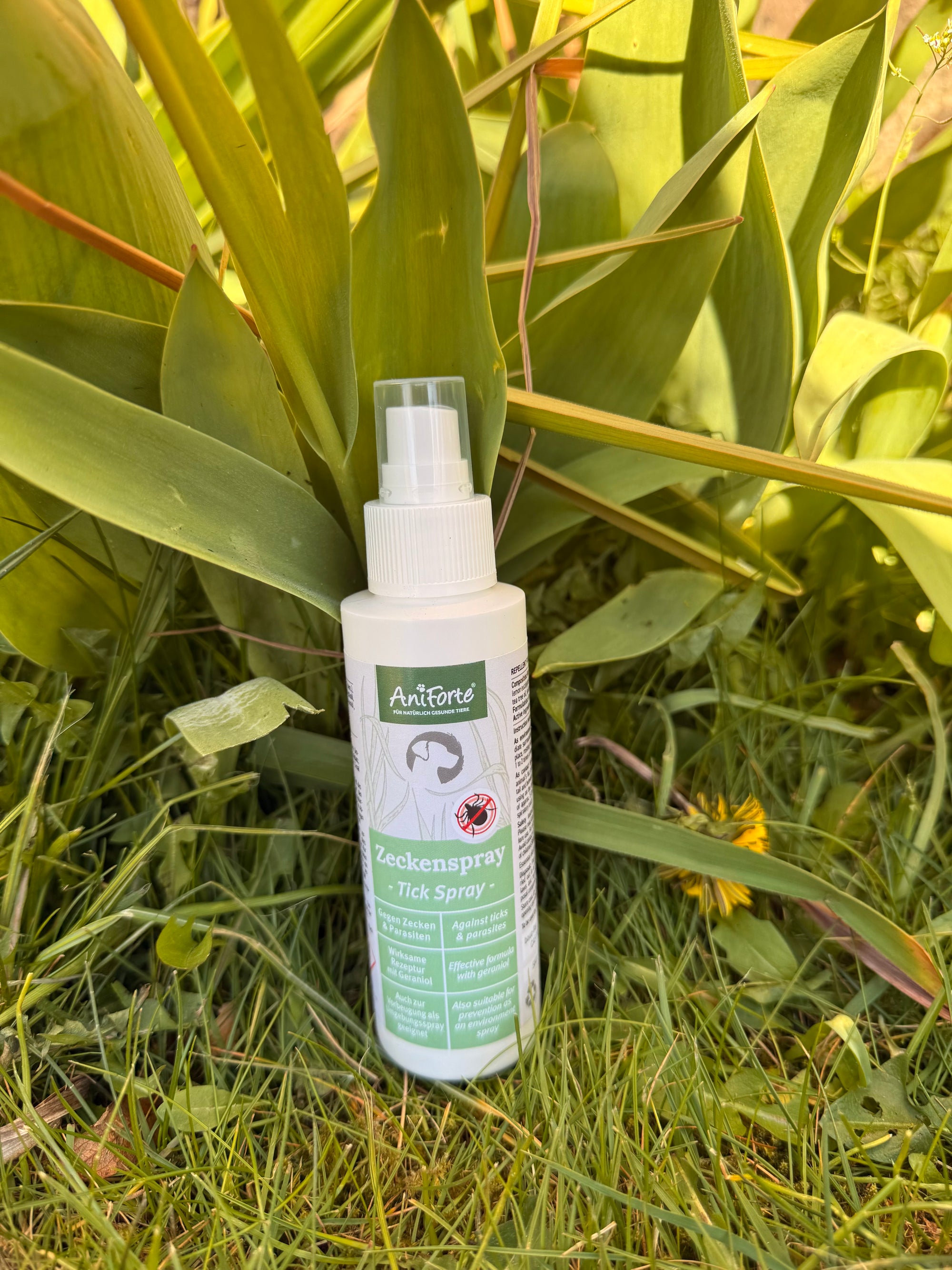 Aniforte Natural Tick Spray For Dogs 100ml - Bodhi &amp; The Birchtree