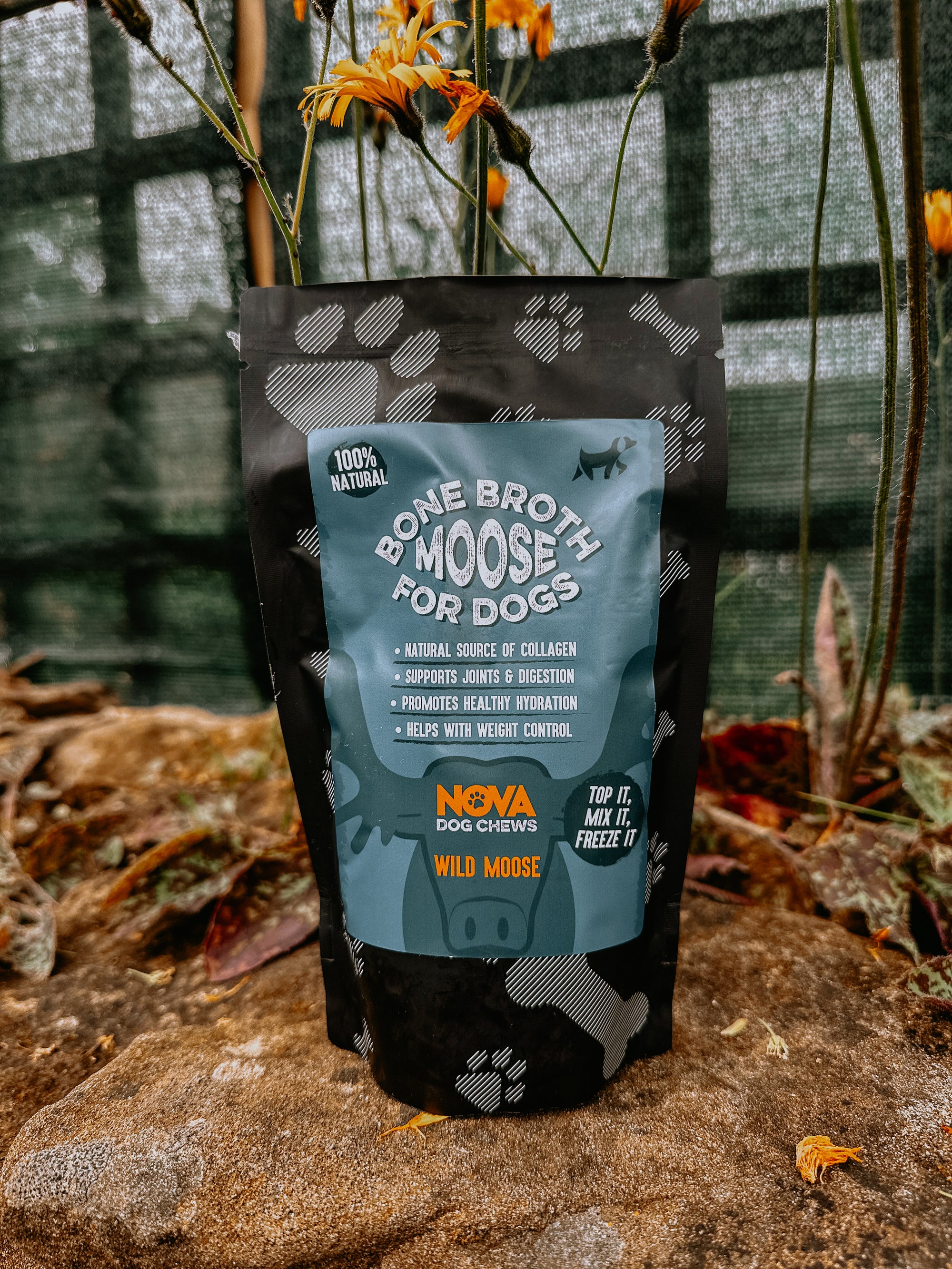 Moose Bone Broth - Bodhi & The Birchtree