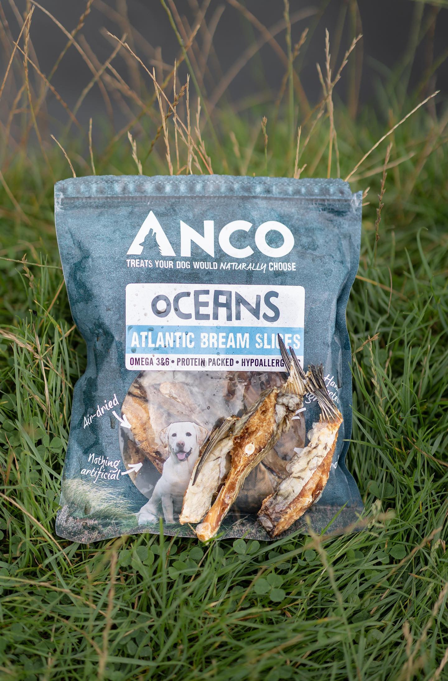 Anco Oceans Atlantic Bream Slices 100g