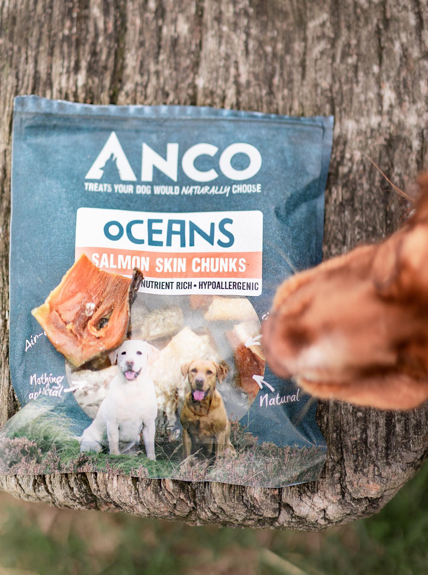 Anco Oceans Salmon Skin Chunks 100g