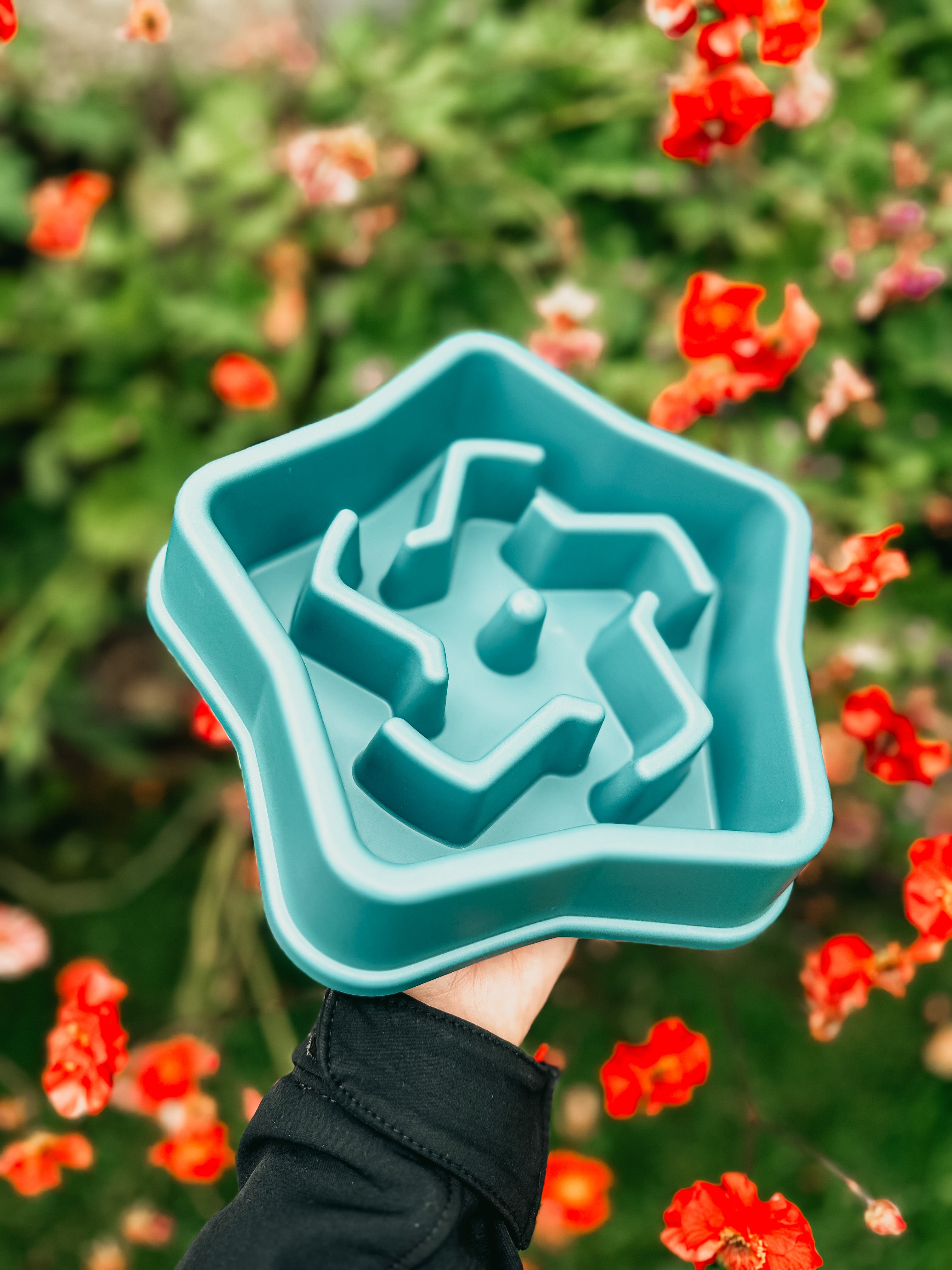 Slow Feeder Bowl Blue Bodhi The Birchtree