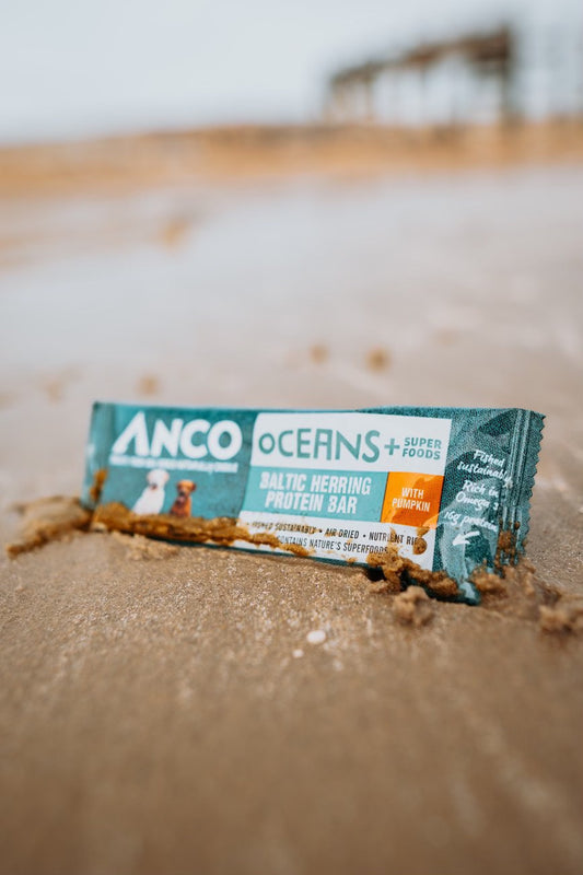 Anco Oceans + Protein Bar With Pumpkin 25g